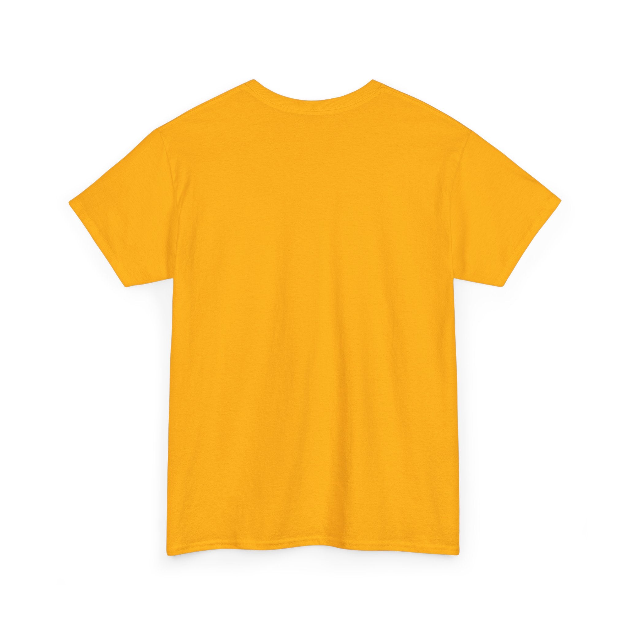 T-shirt Unisex i kraftigare  ekologisk bomull