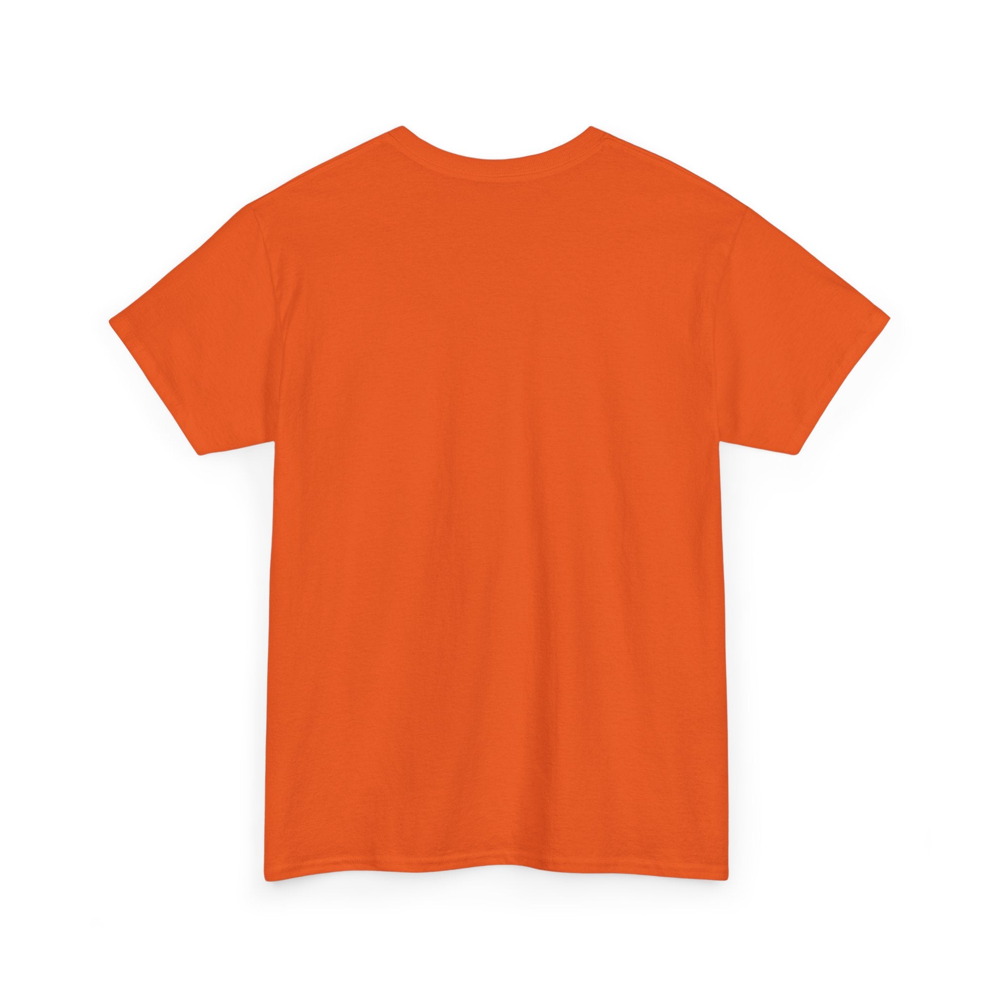 T-shirt Unisex i kraftigare  ekologisk bomull