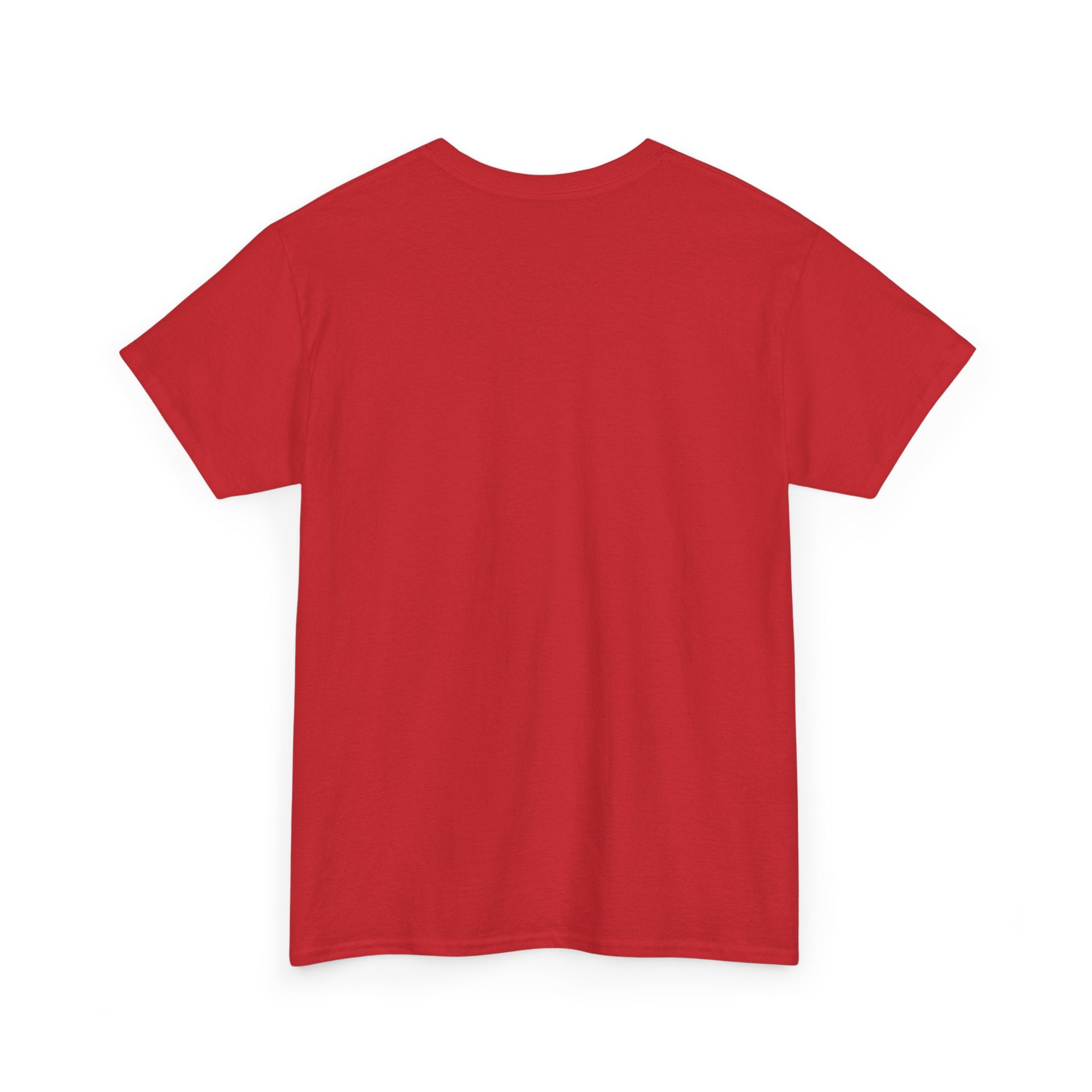 T-shirt Unisex i kraftigare  ekologisk bomull
