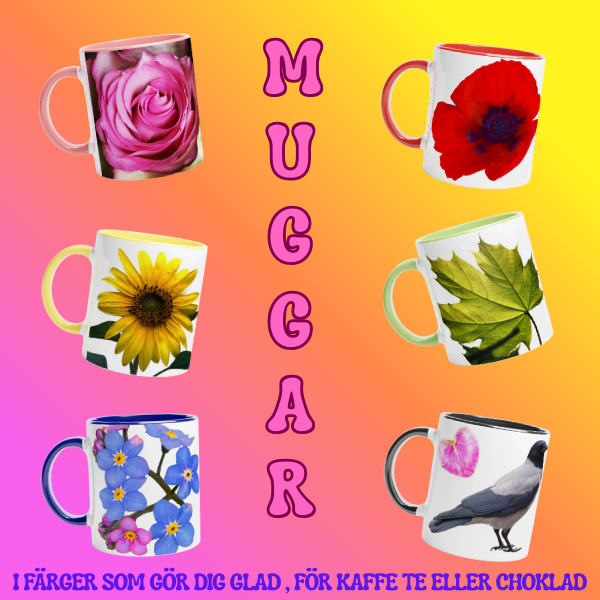 Fina Blommiga Muggar