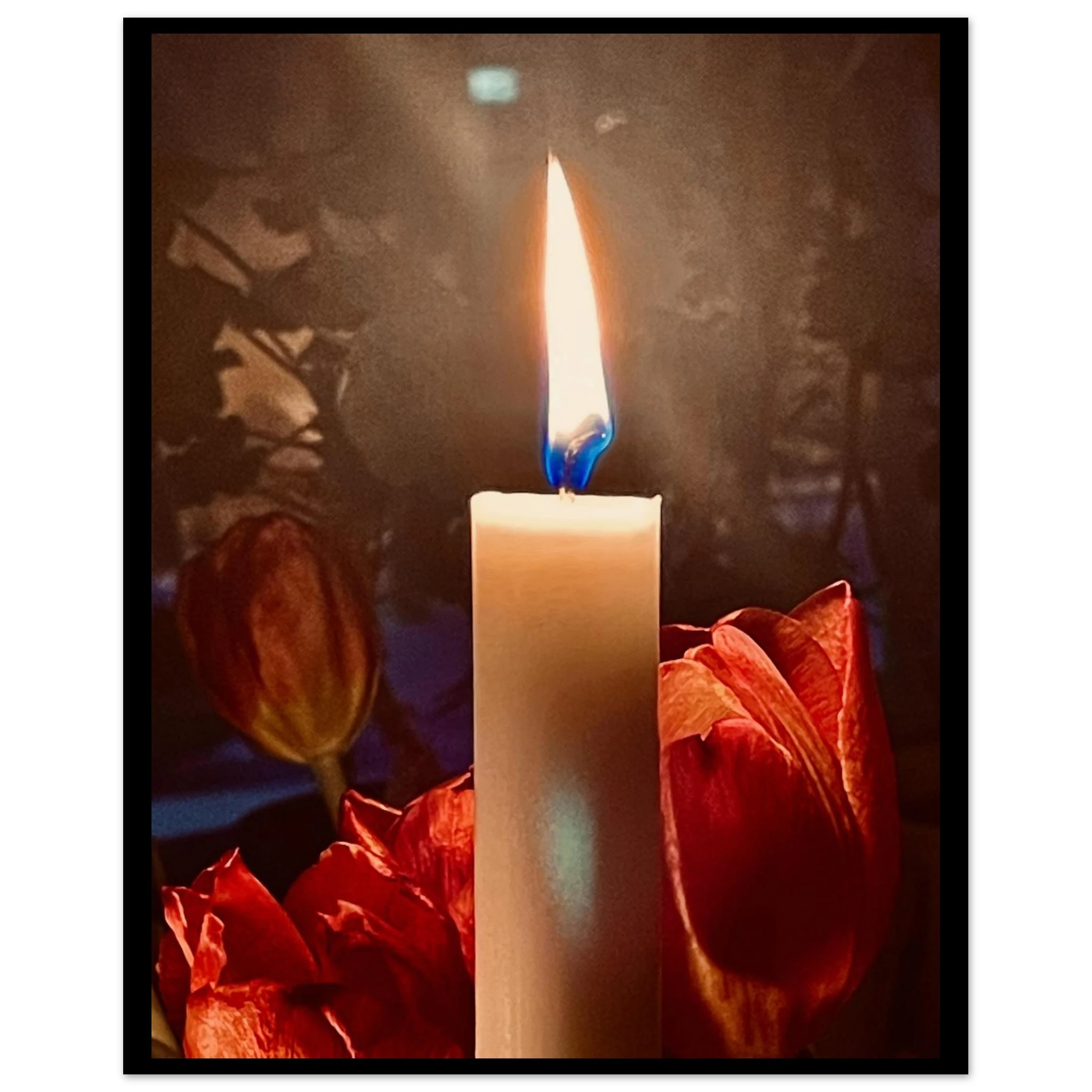 00042513-fe32-43fc-ae68-a6ca2bb62795