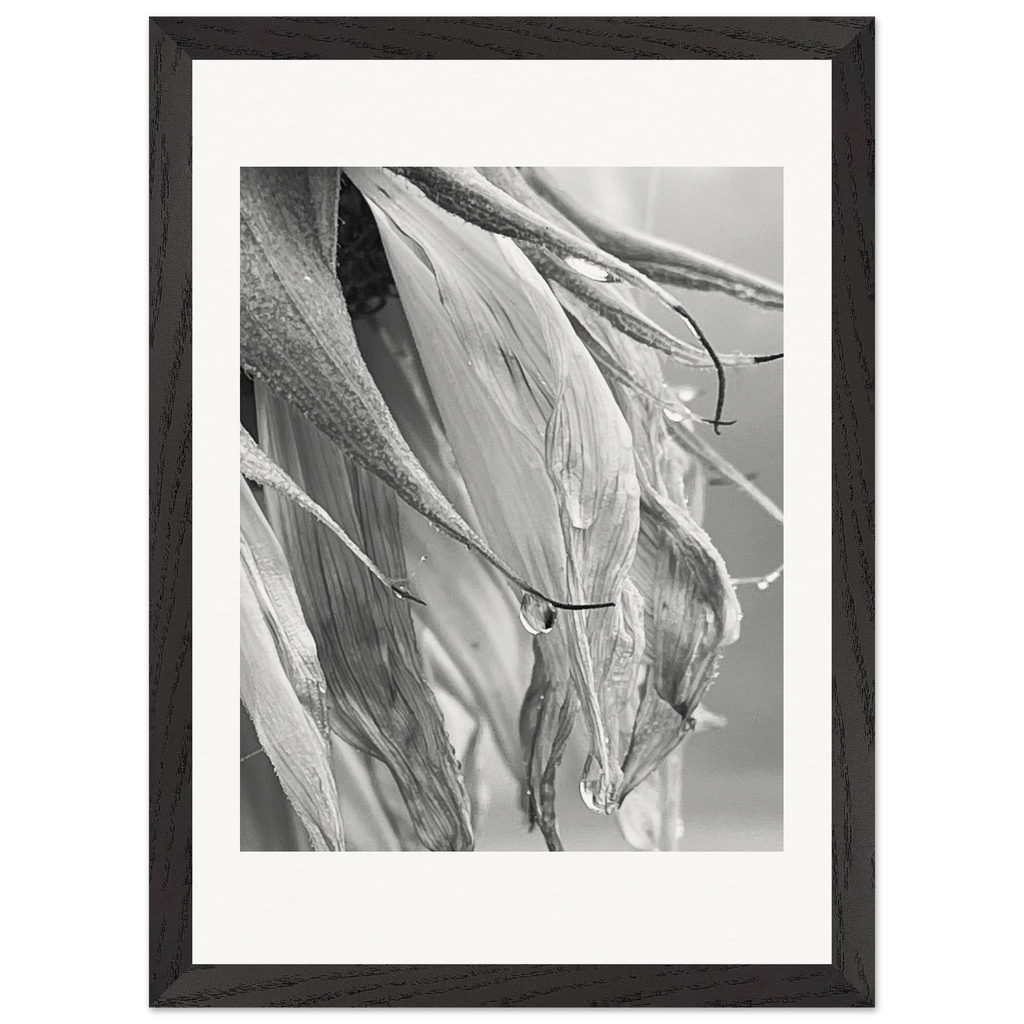 0a965695-2cd9-4a4b-9973-8511d5ce97bc