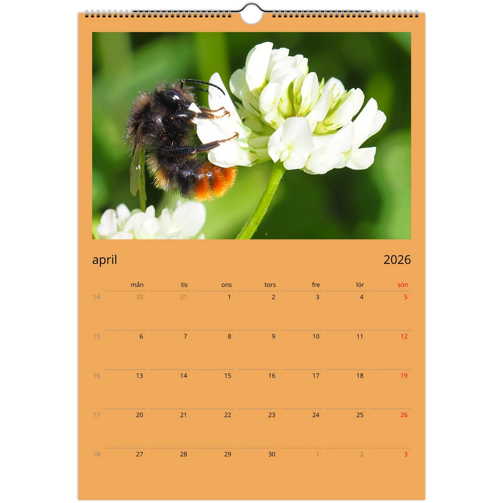 11884020-0bfb-4f0e-9487-6c4fe718395e