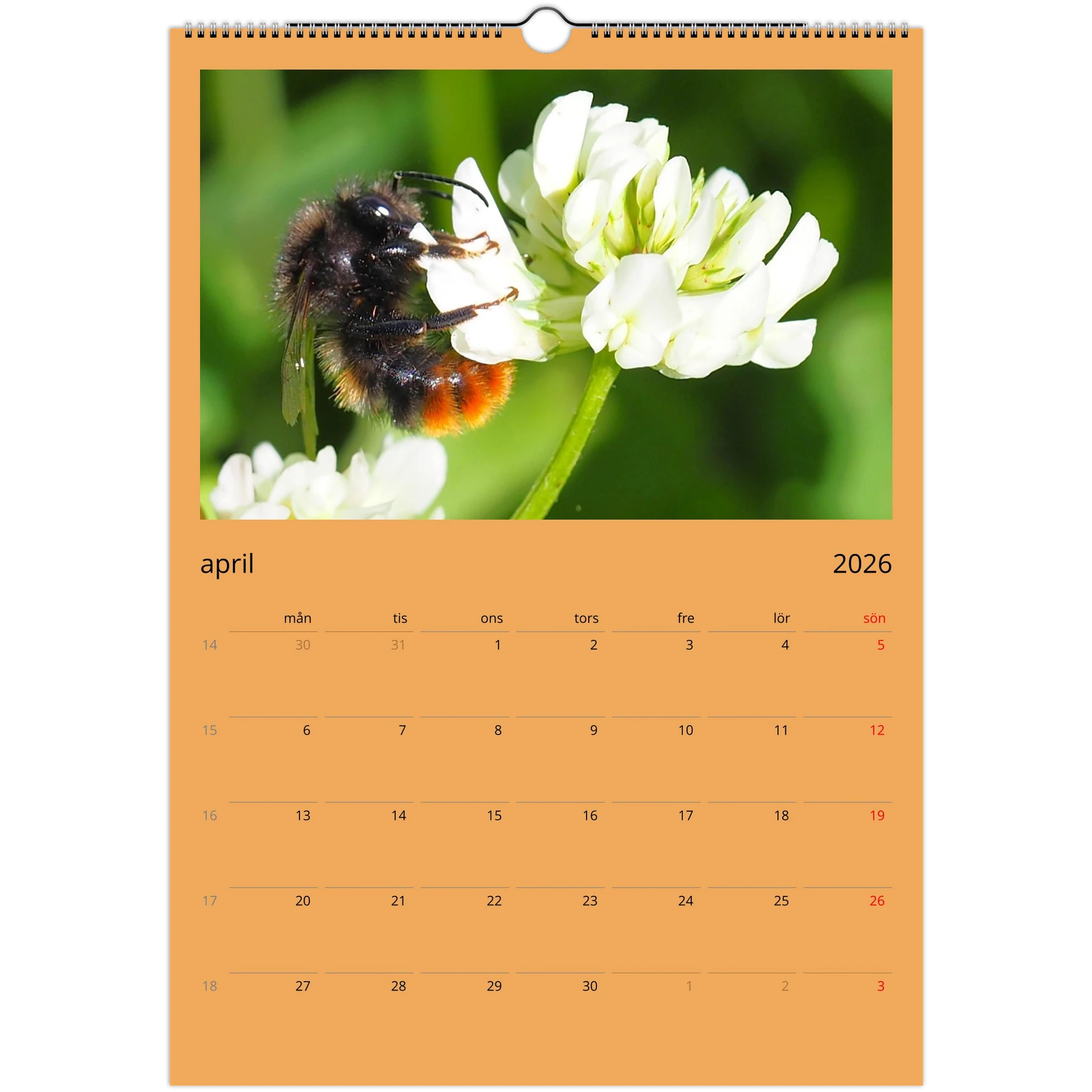 11884020-0bfb-4f0e-9487-6c4fe718395e