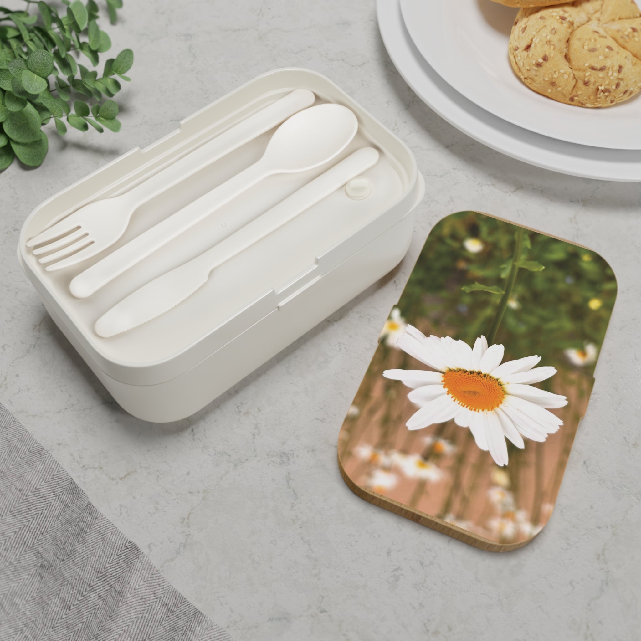 Bento Lunch Box