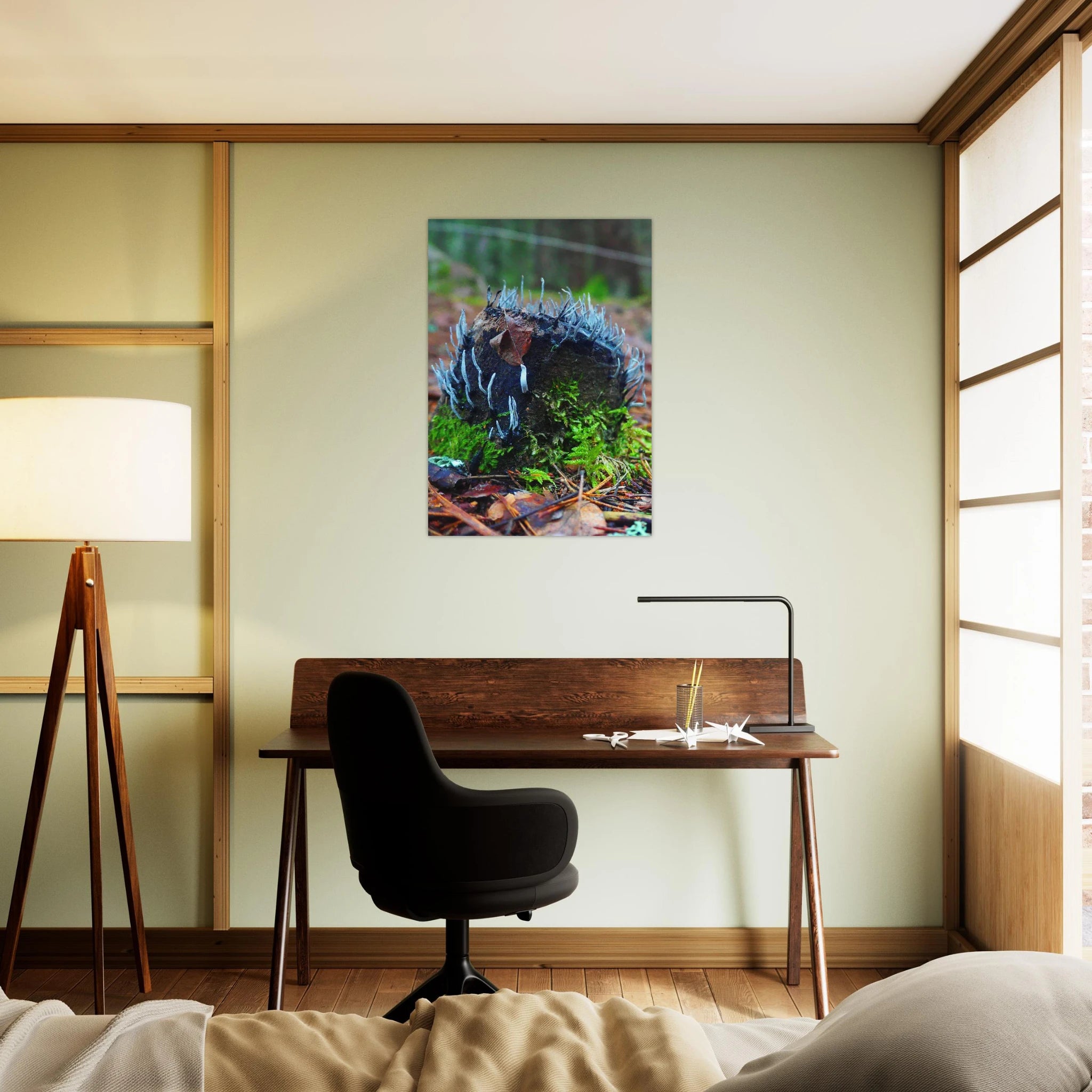 151ed9fe-500e-4616-b924-e482d3c3691f