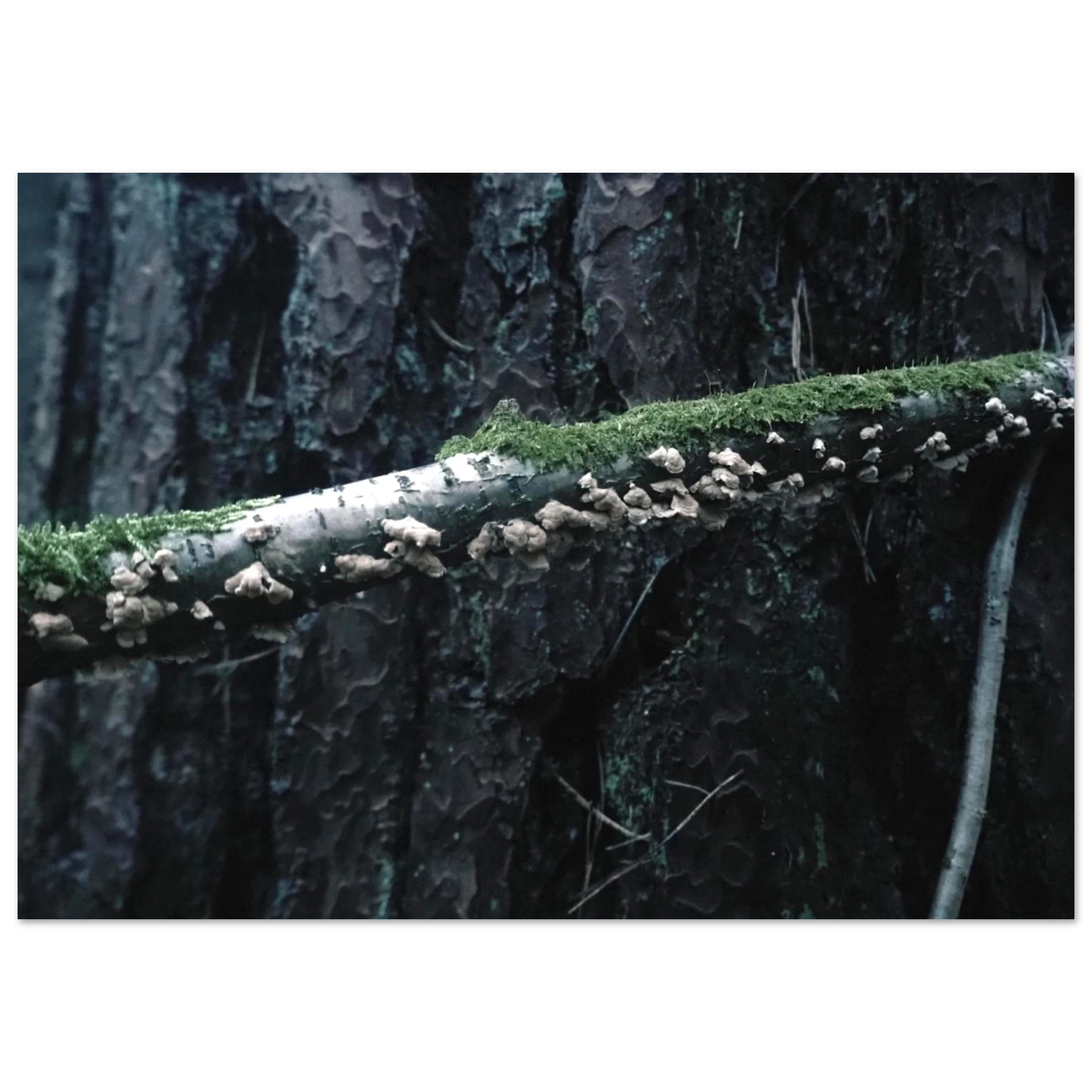 19f5a8a0-d2cd-42cf-a5af-27b25c170875