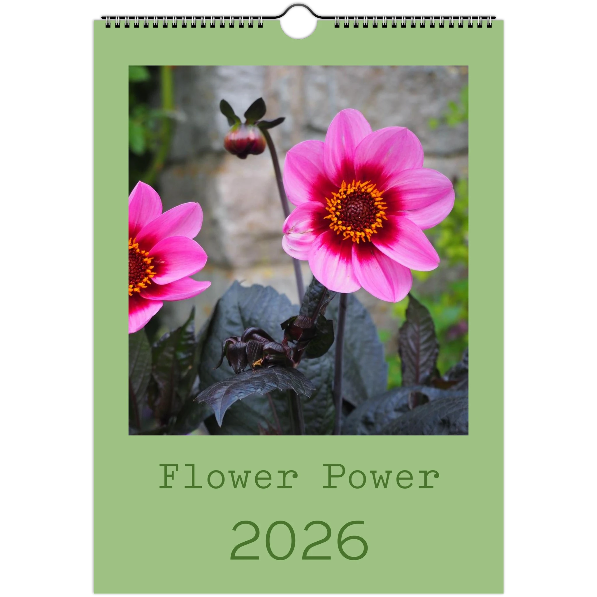 293239c5-118f-4880-a5bc-383cc39f1b30