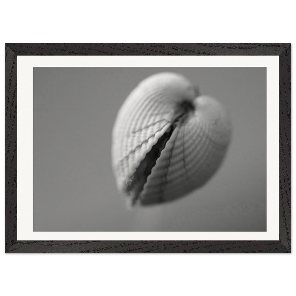 2c13a85b-f472-4291-a7c4-8d1960f51ff4