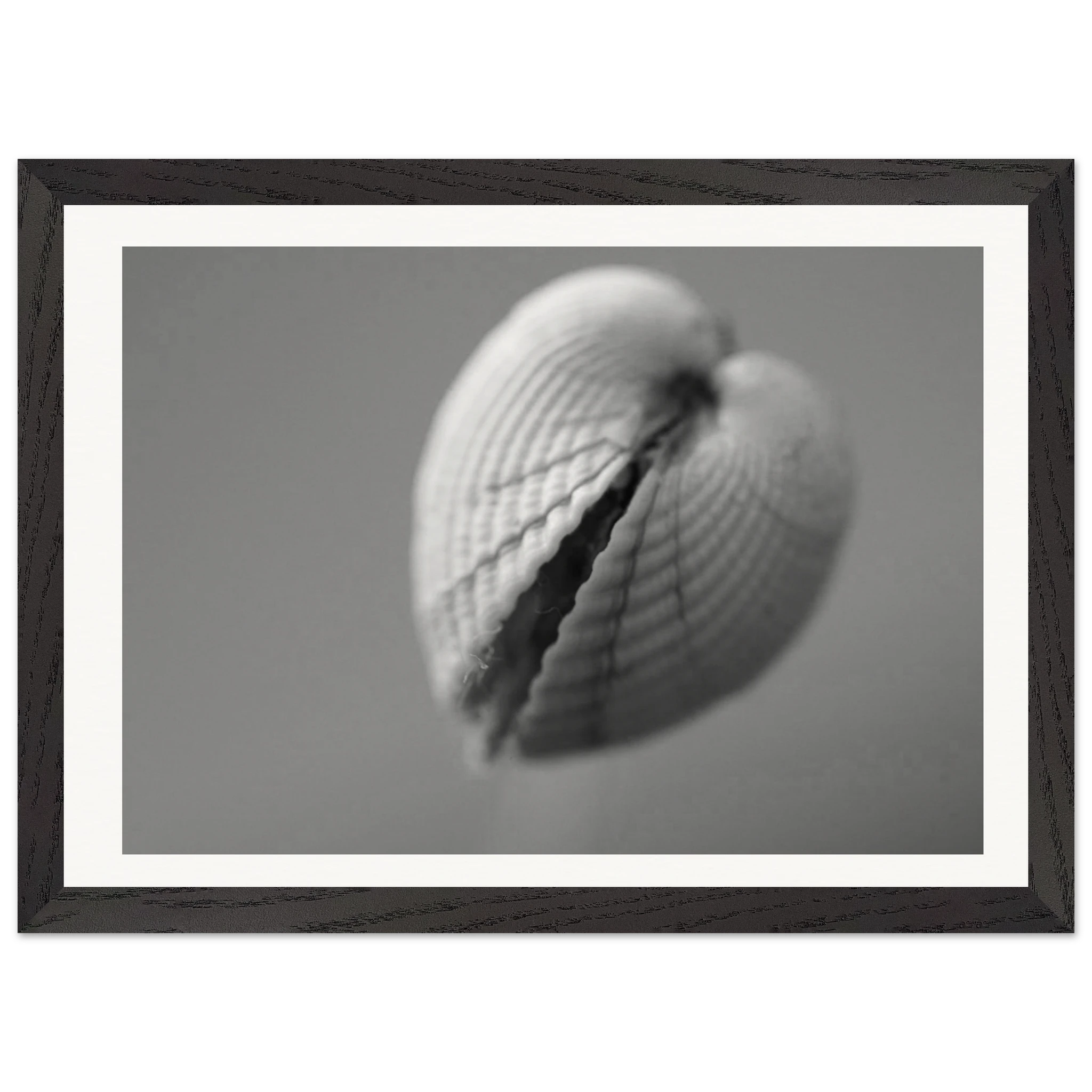 2c13a85b-f472-4291-a7c4-8d1960f51ff4