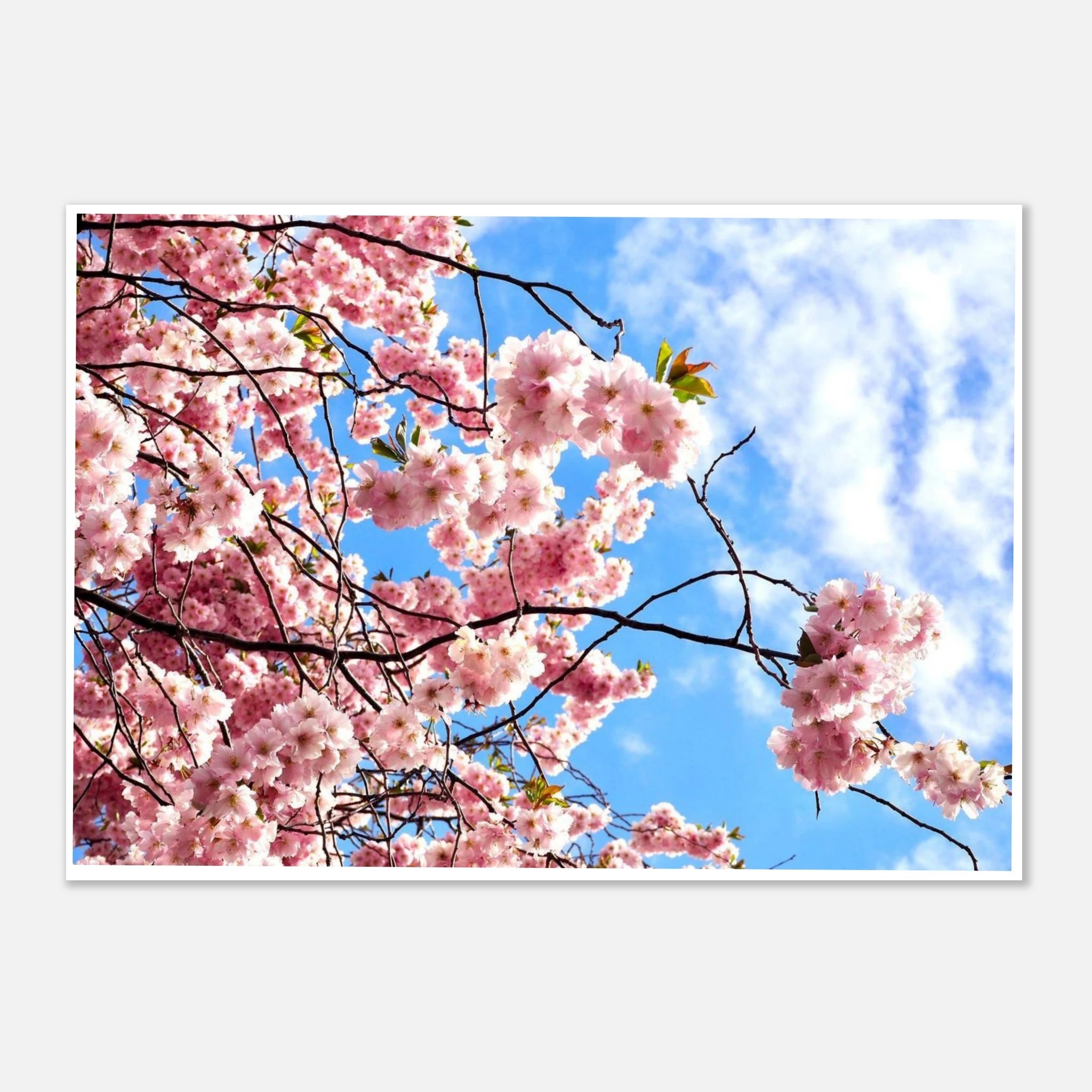 2c3803c4-1a29-480e-8b5f-90864b1e98c7