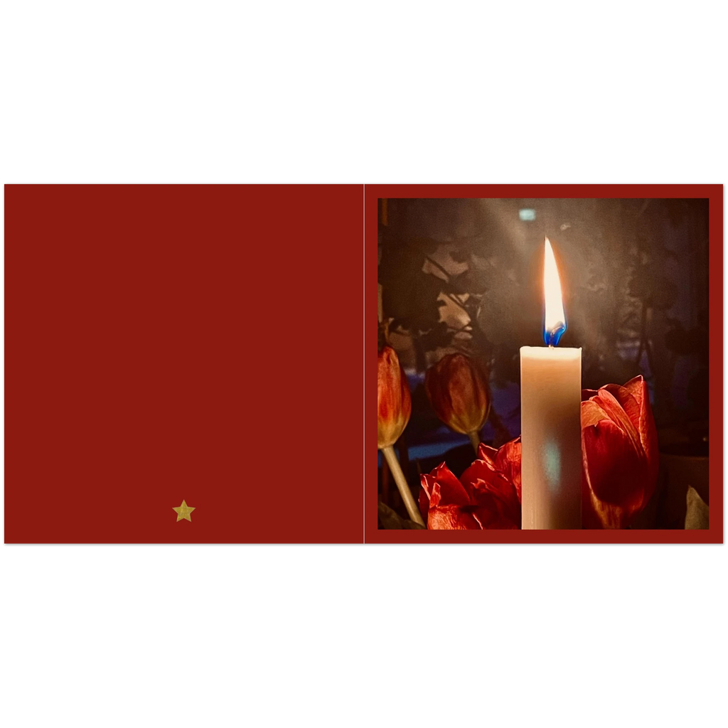 31e0a589-4f99-4c4d-8494-6b04ca3bc67d