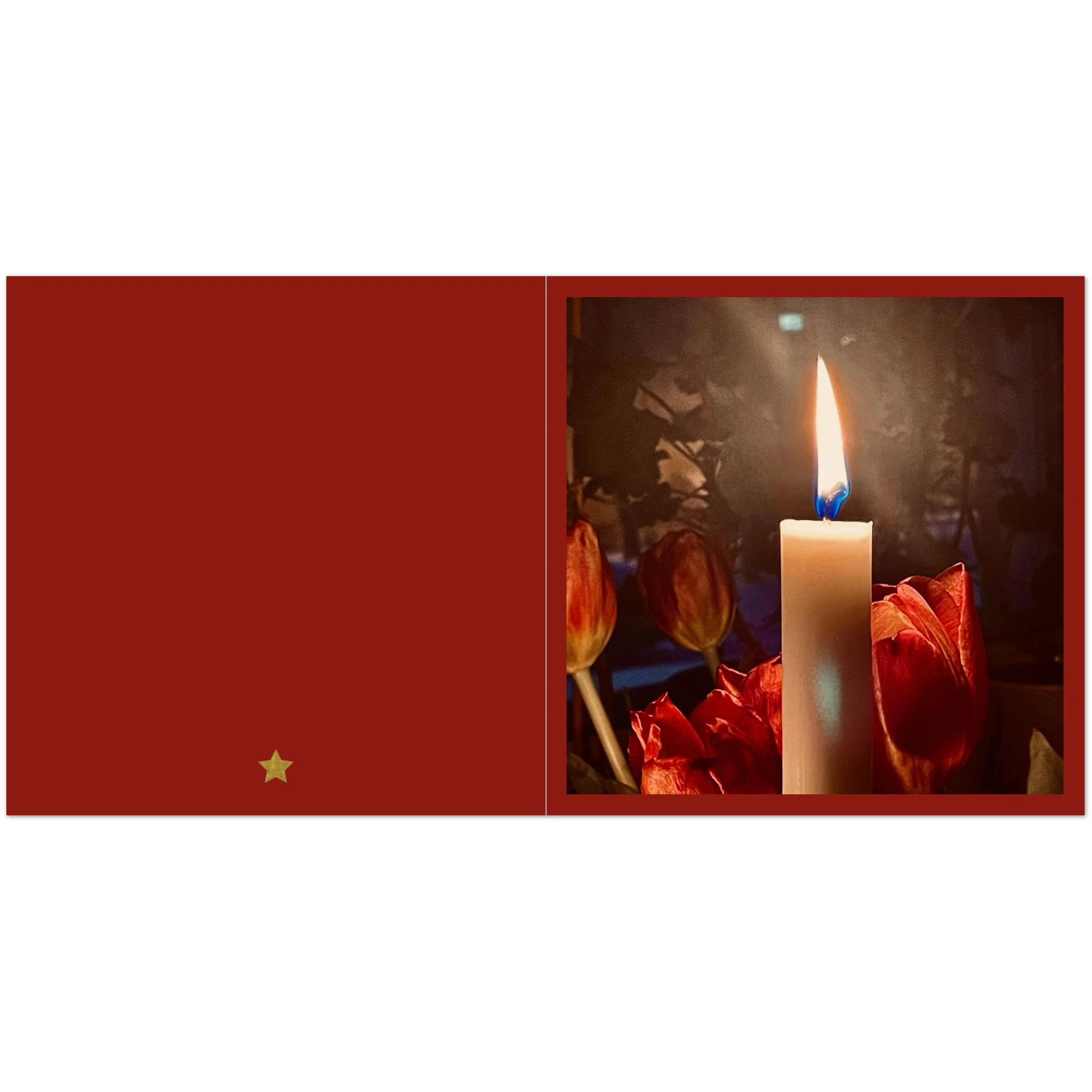 31e0a589-4f99-4c4d-8494-6b04ca3bc67d