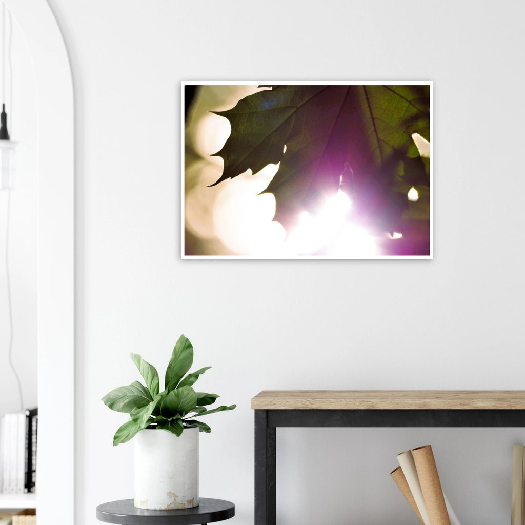 3ba3fe07-2acc-4a05-9cbe-514079bf0417