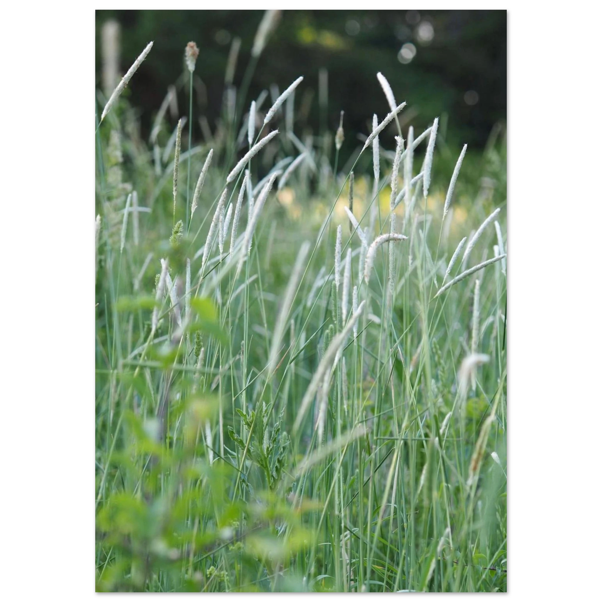 42390f07-61a8-4b6b-ab90-86126949218d