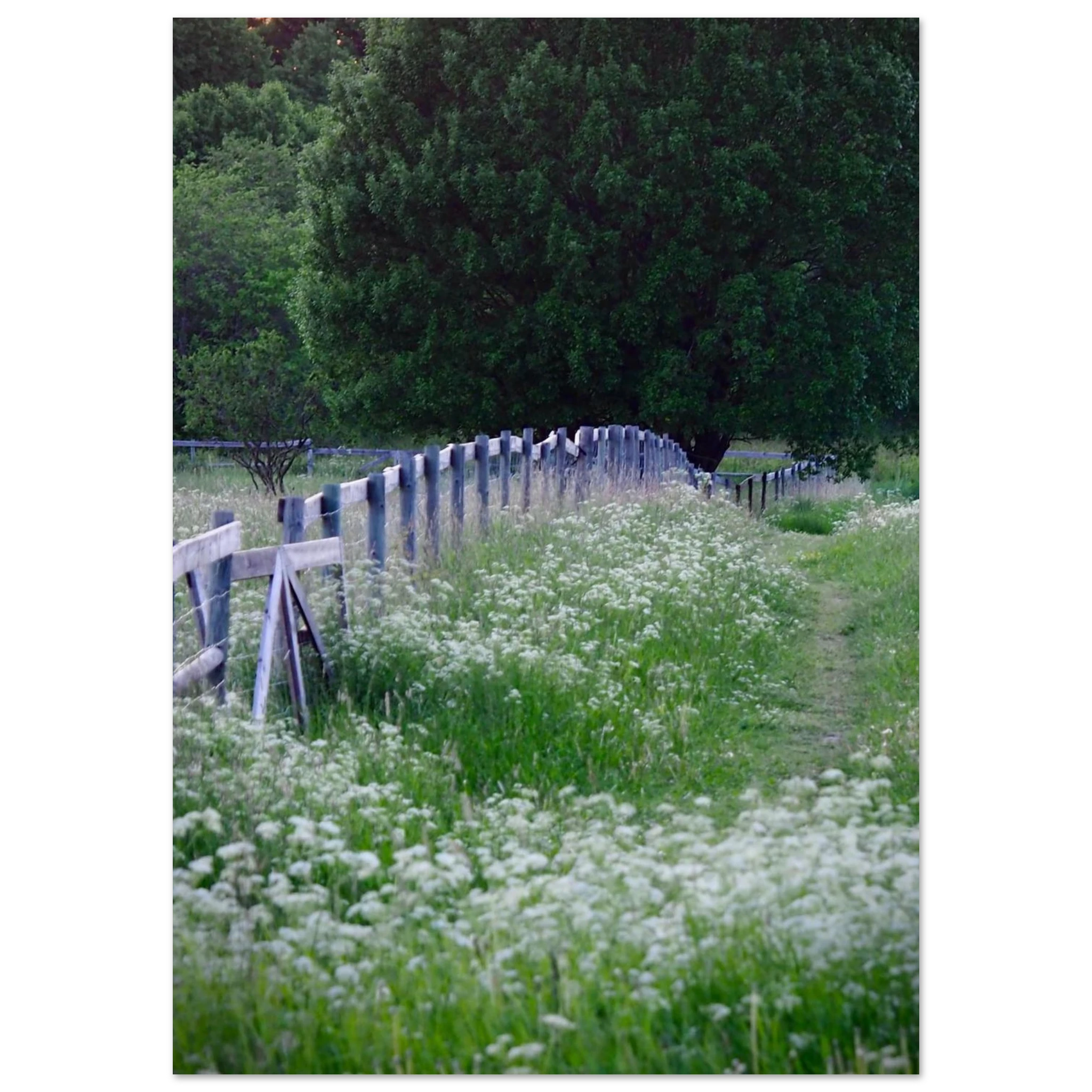 42b0bac6-1a69-4127-ad80-aafccd672341