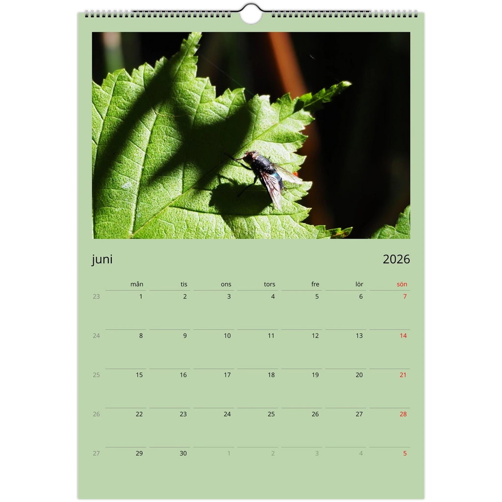 4df60463-3cc5-4b2f-be74-dae5b59fb460