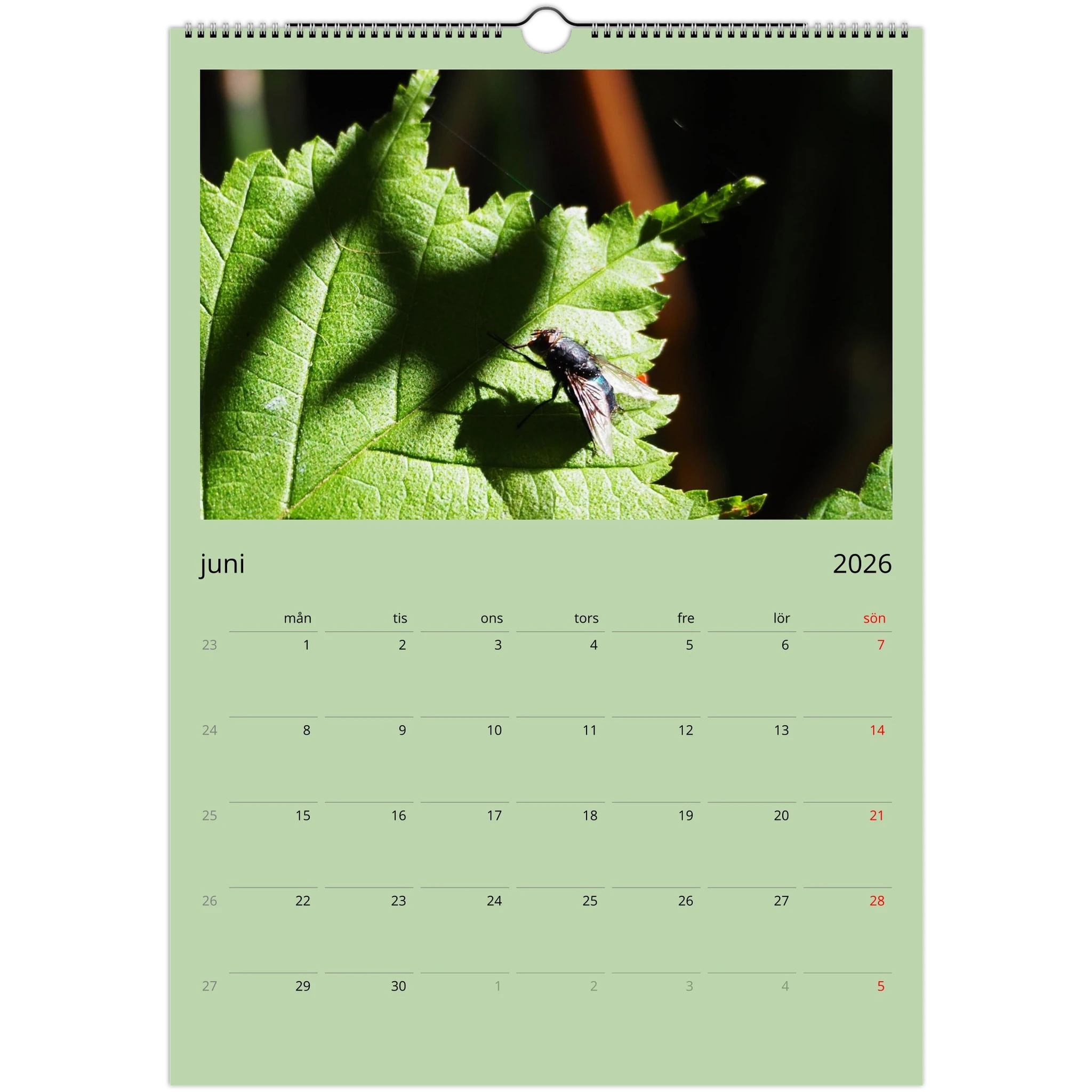 4df60463-3cc5-4b2f-be74-dae5b59fb460