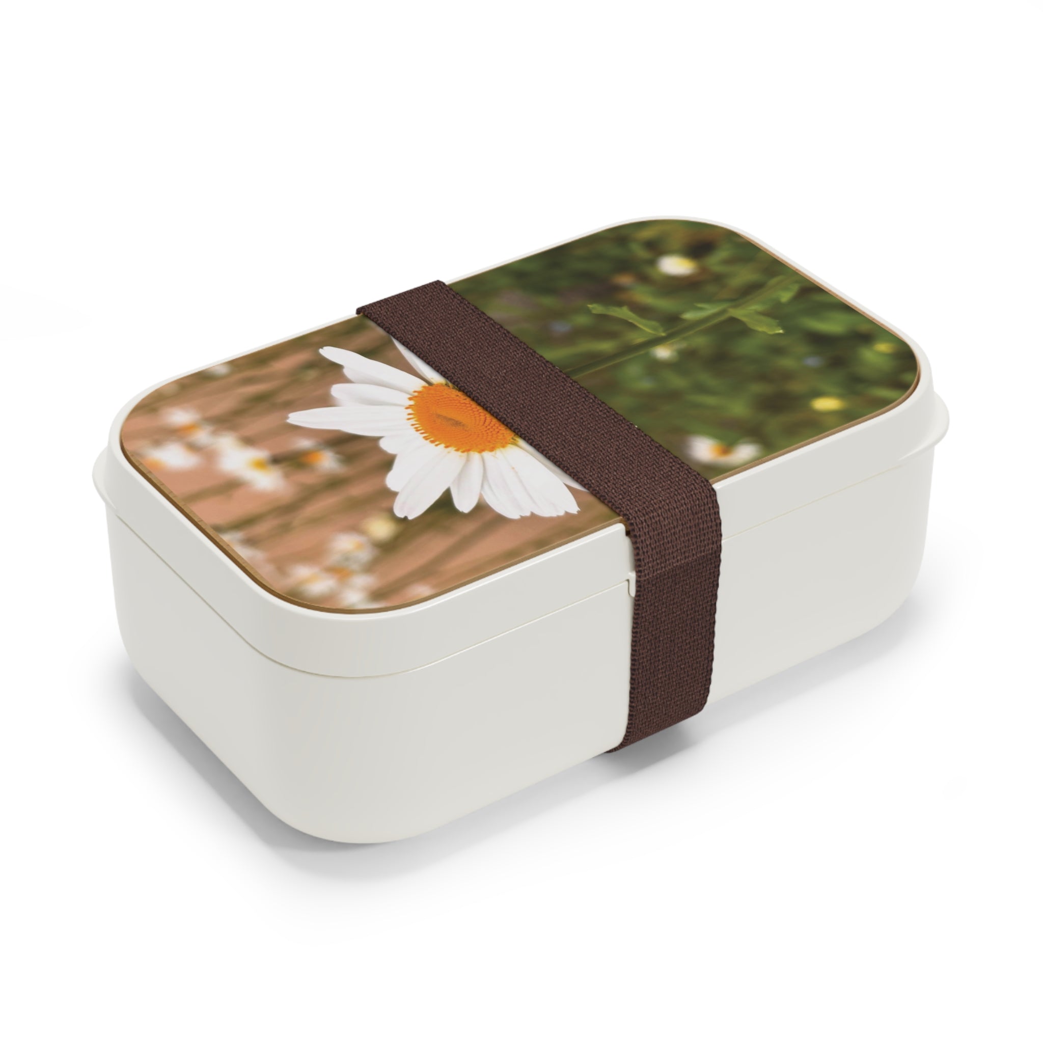 Bento Lunch Box