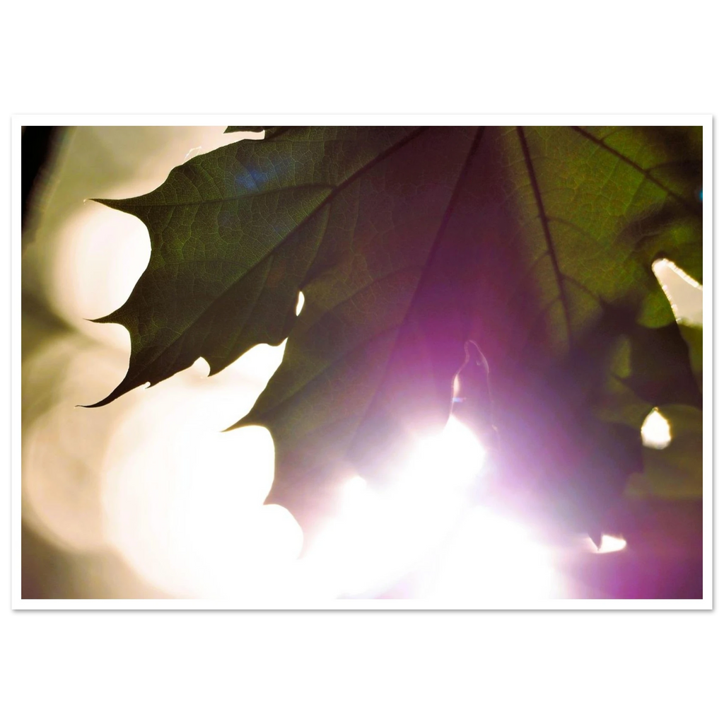 5bebc396-4990-479c-89f8-6b34e9d1644f