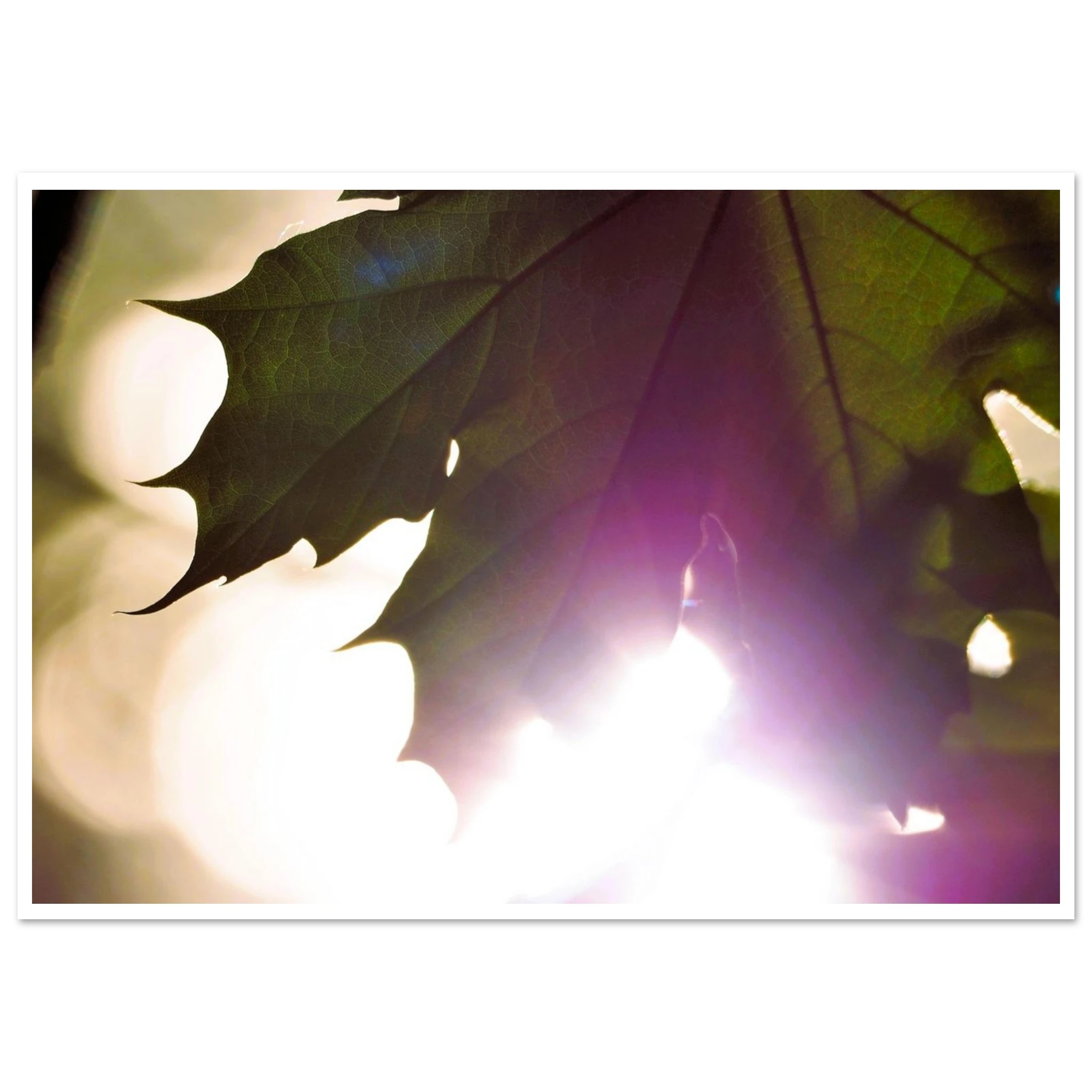 5bebc396-4990-479c-89f8-6b34e9d1644f