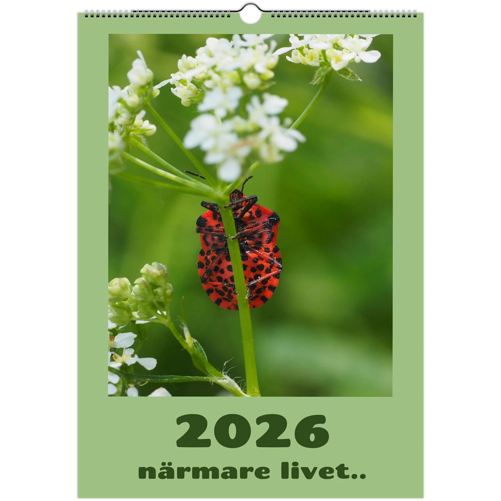 5c1f88bd-782f-4442-84ac-a76c1d0d270e