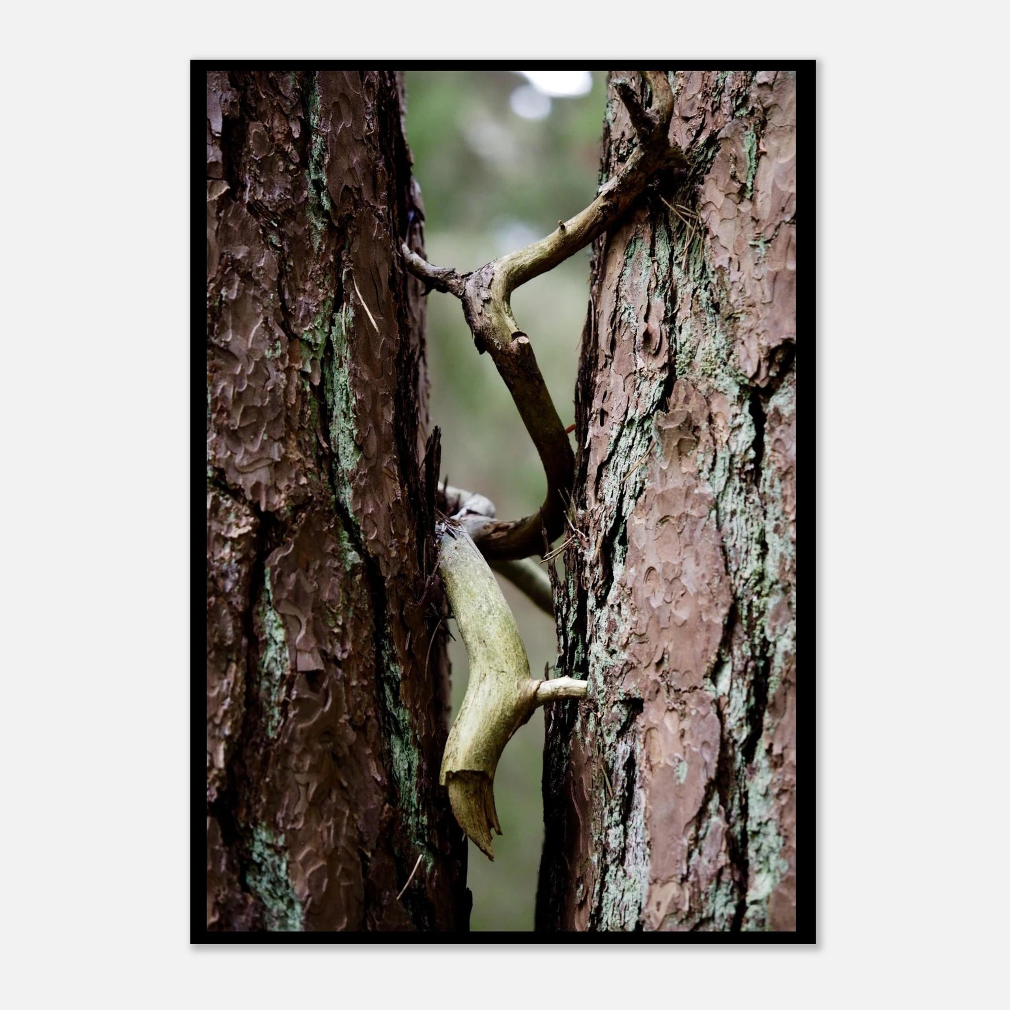 5f030031-a627-4255-b913-f2e4dc41250d