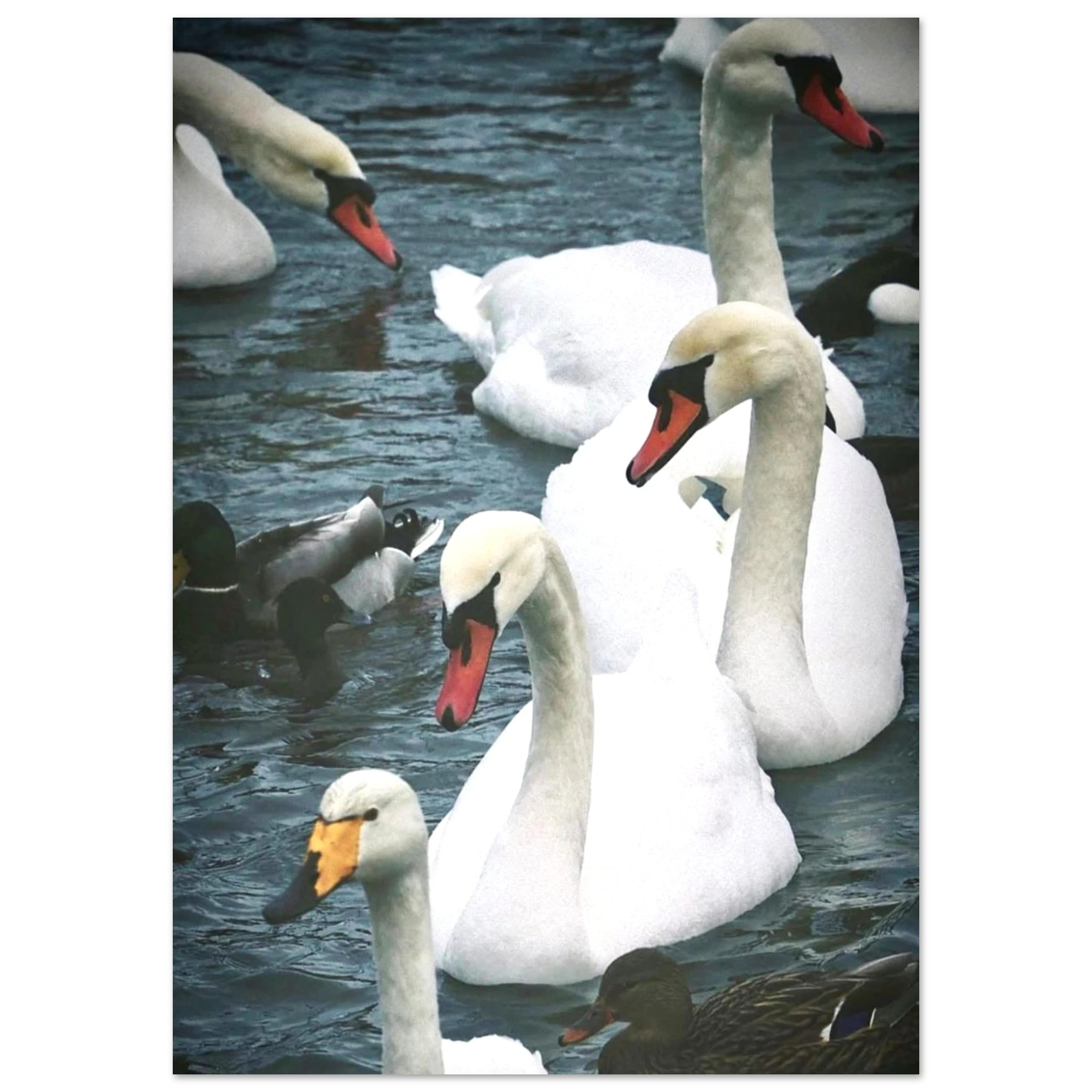 6450f623-0121-407b-827d-c362b84410b3