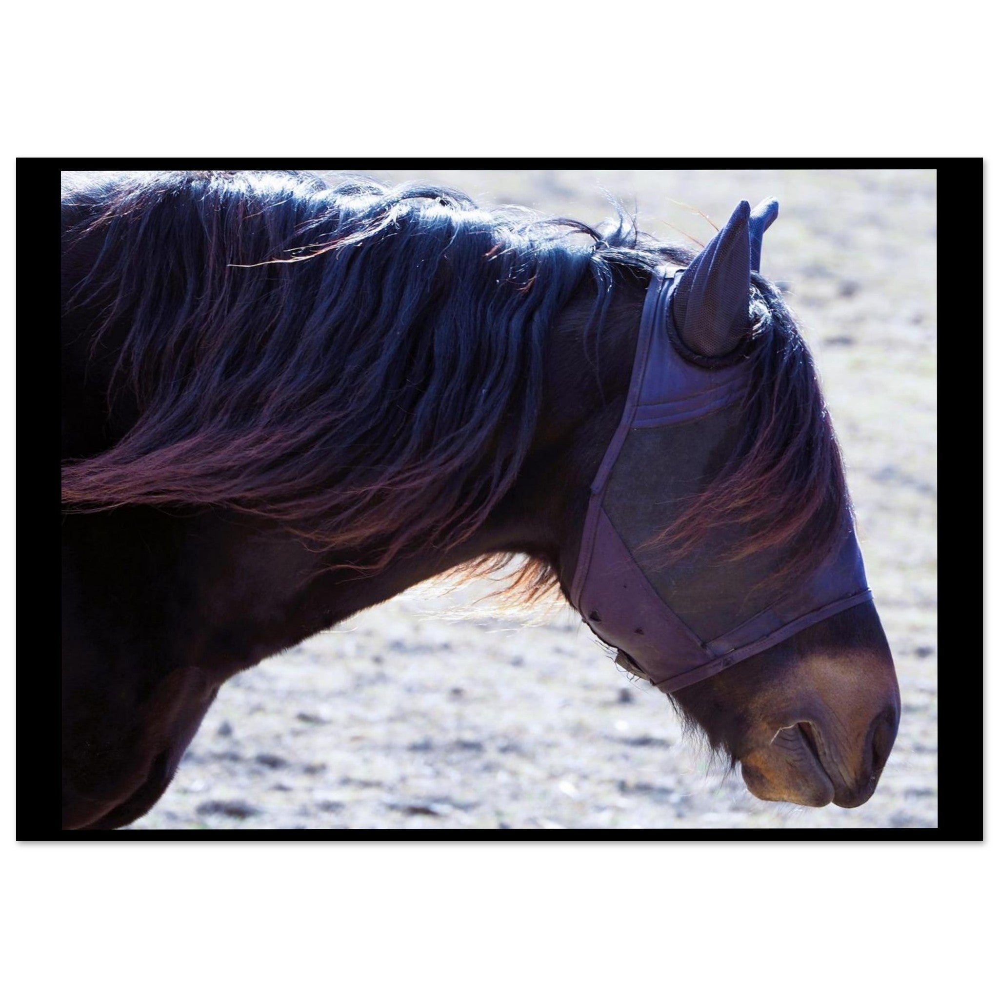 663ea4d1-f1e9-4c95-9d97-c49400bd56b1