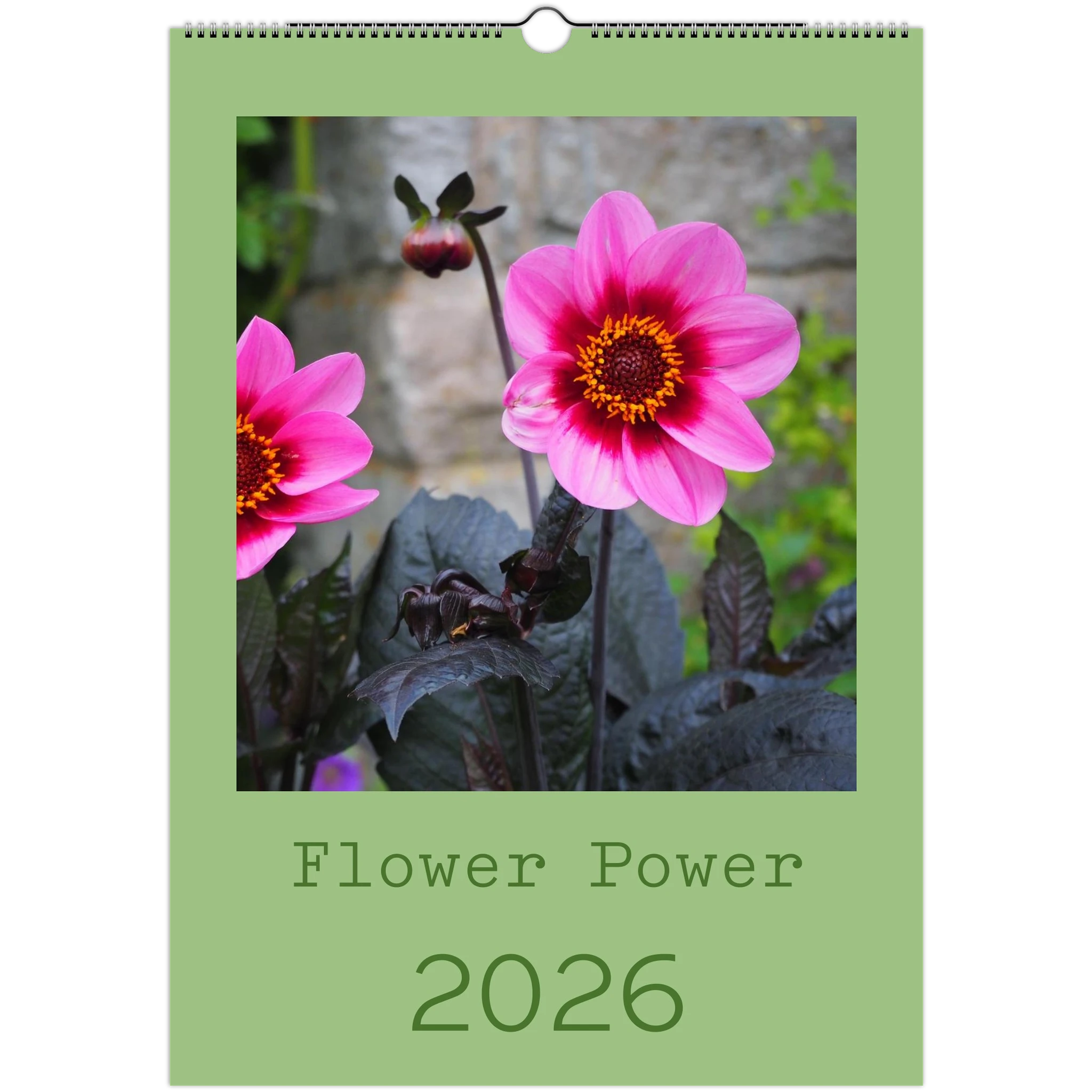 789e38f3-c0f0-4685-9aff-a170381ba510