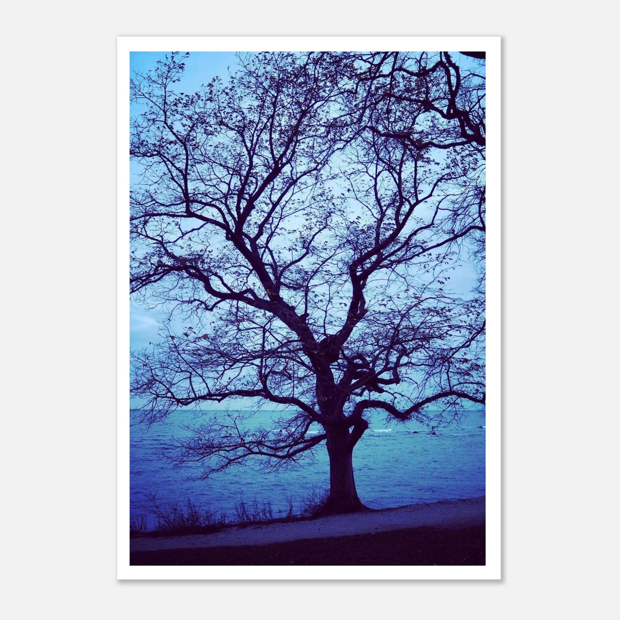 866b7c3d-8bdc-45f9-9643-18c3450e046a