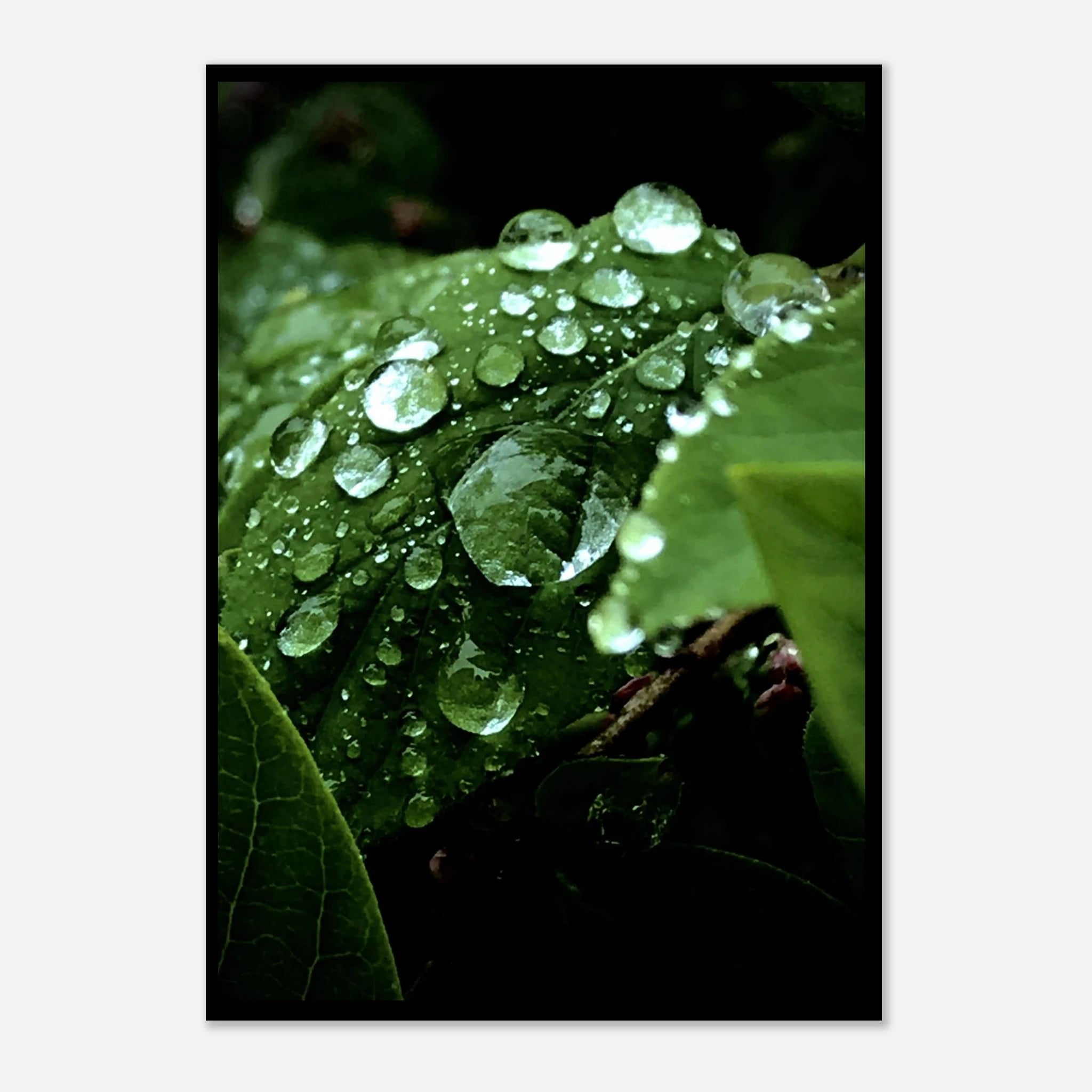 8cd49186-e88e-4be9-9d25-f5b1c119fa2f