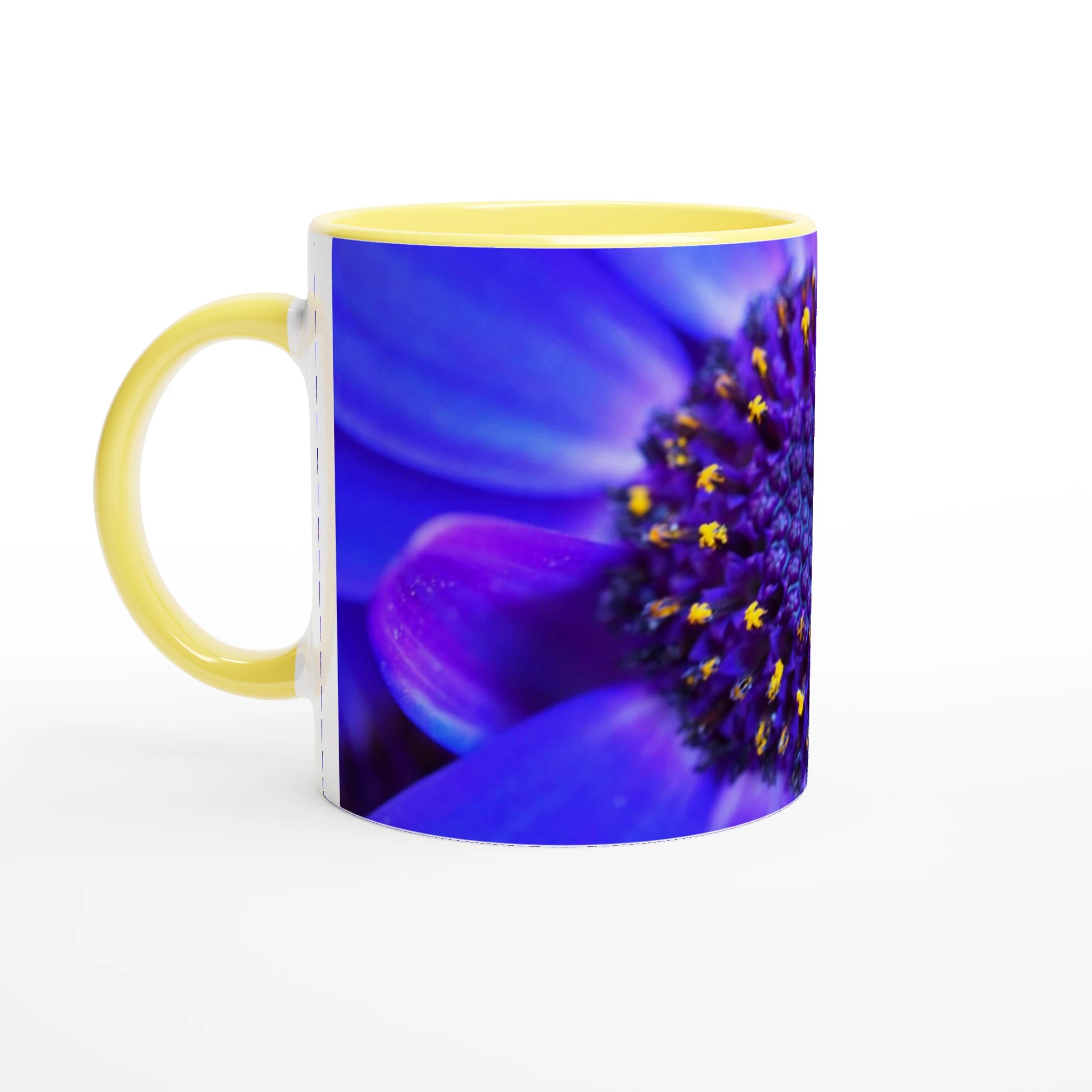 8e05562a-127b-4136-bc4d-f35762949cdc