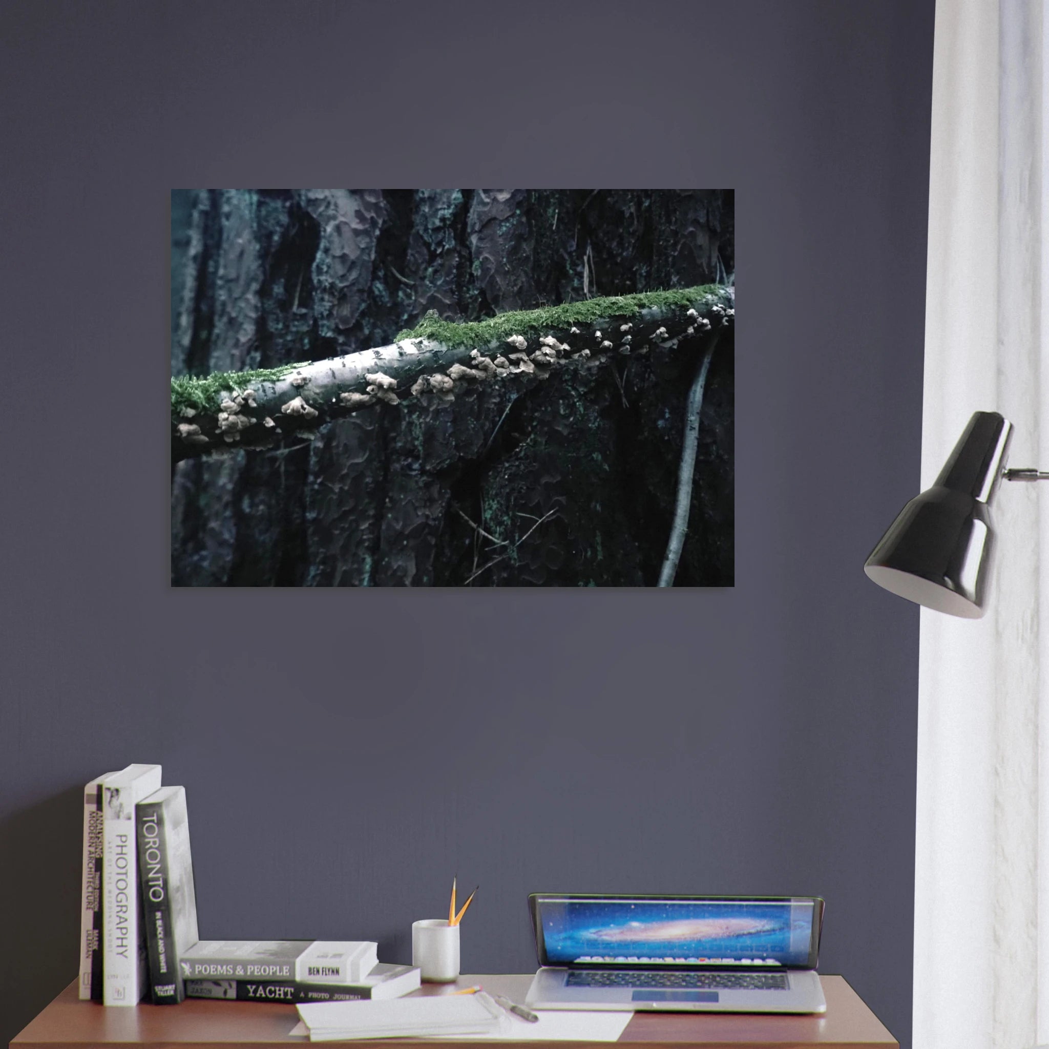 91206de2-11ad-4665-a316-c3adce9572e8