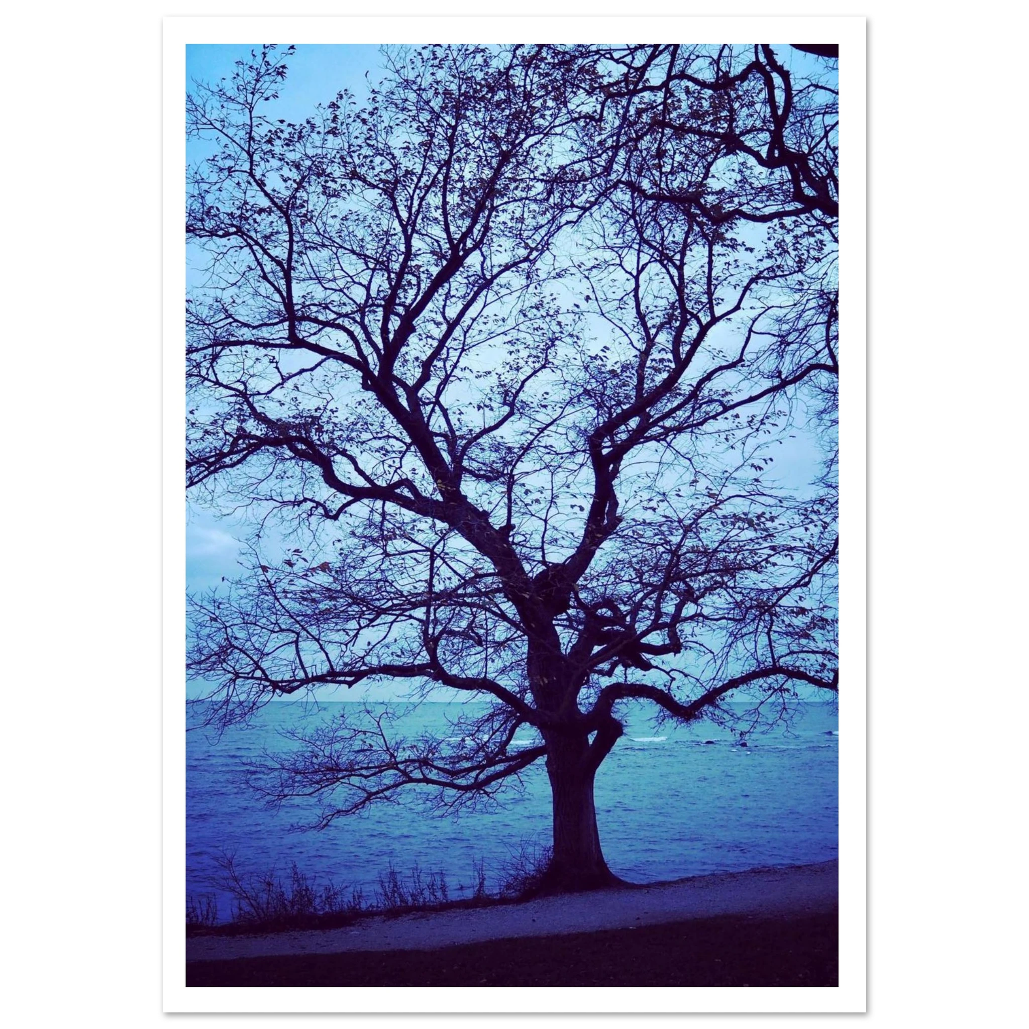 9151625b-f520-42f3-b69d-6569c6eb3e68