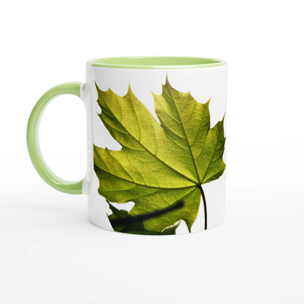 941ac2dd-658a-4c0c-a78a-d9508e820826