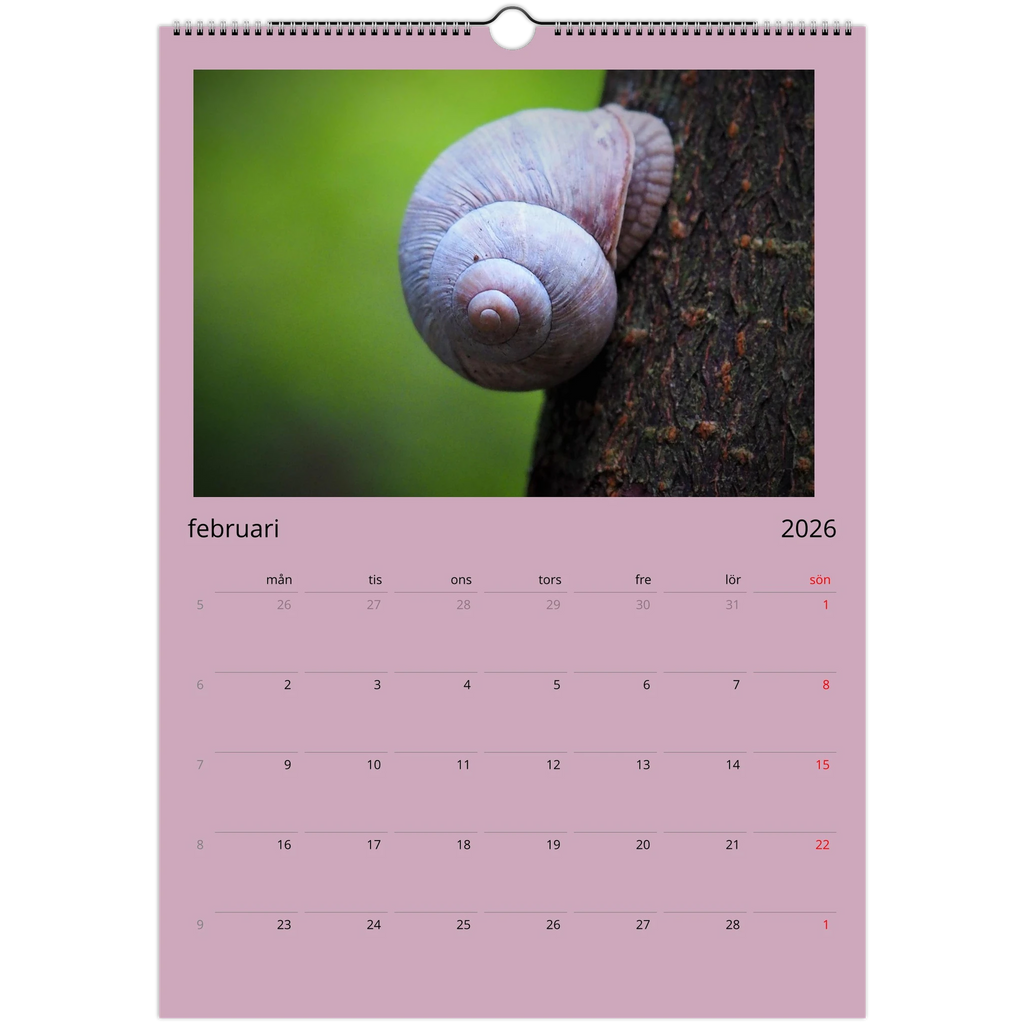 9c66b70a-1c0c-4261-8f3f-25aade535033