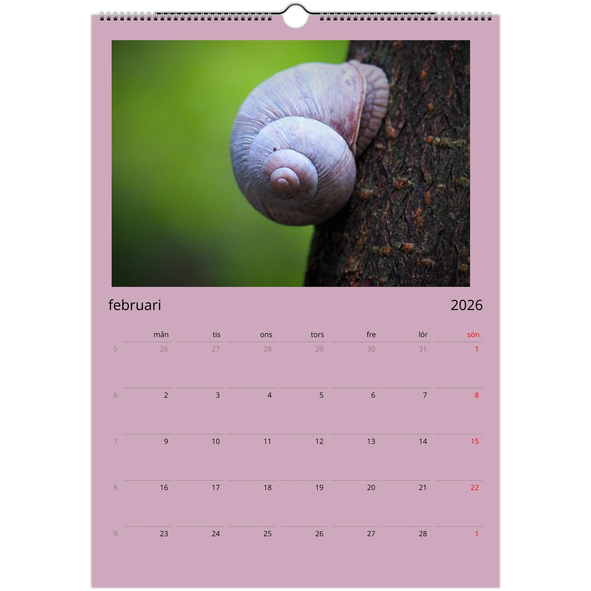 9c66b70a-1c0c-4261-8f3f-25aade535033