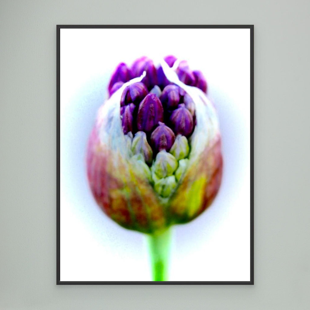 onion