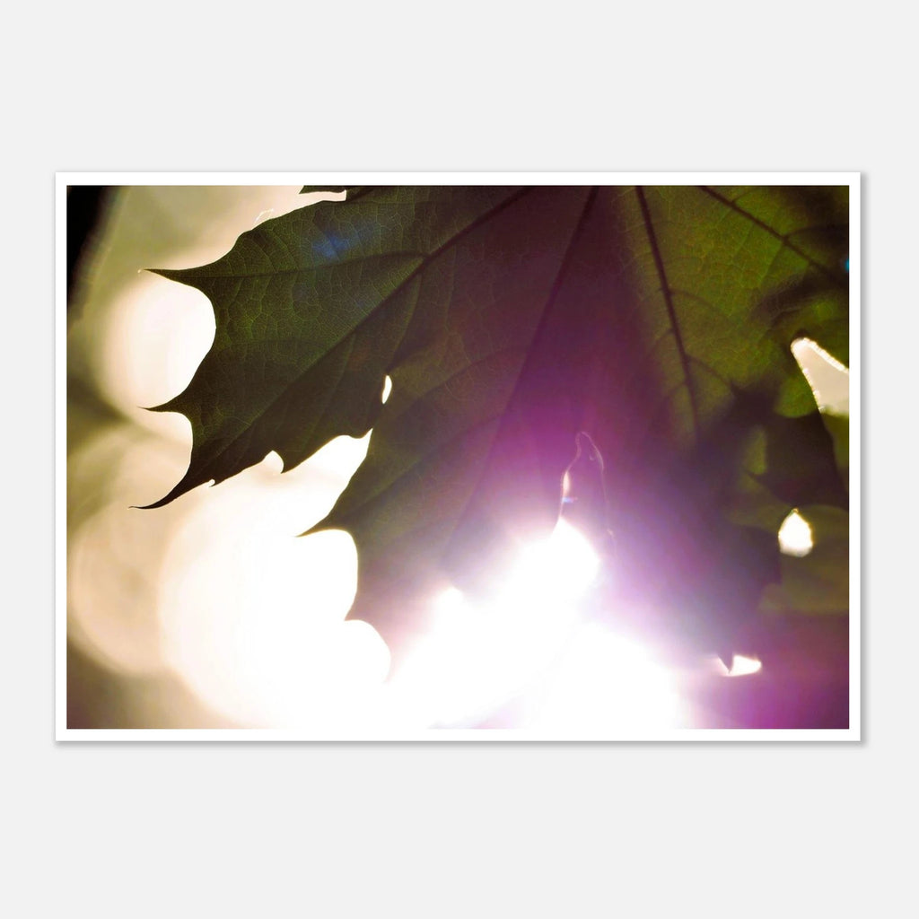 a3fa79bf-1773-4b15-a248-e07d25f26c3a