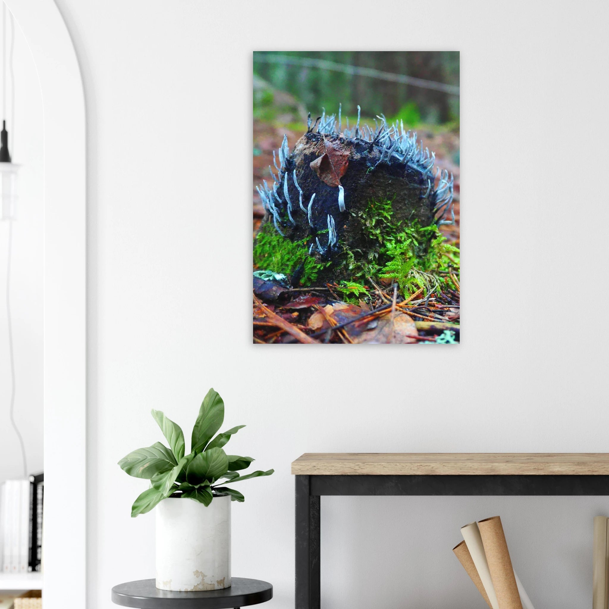 a65ab4b1-e10a-44a2-b2db-bb9e9366b40f