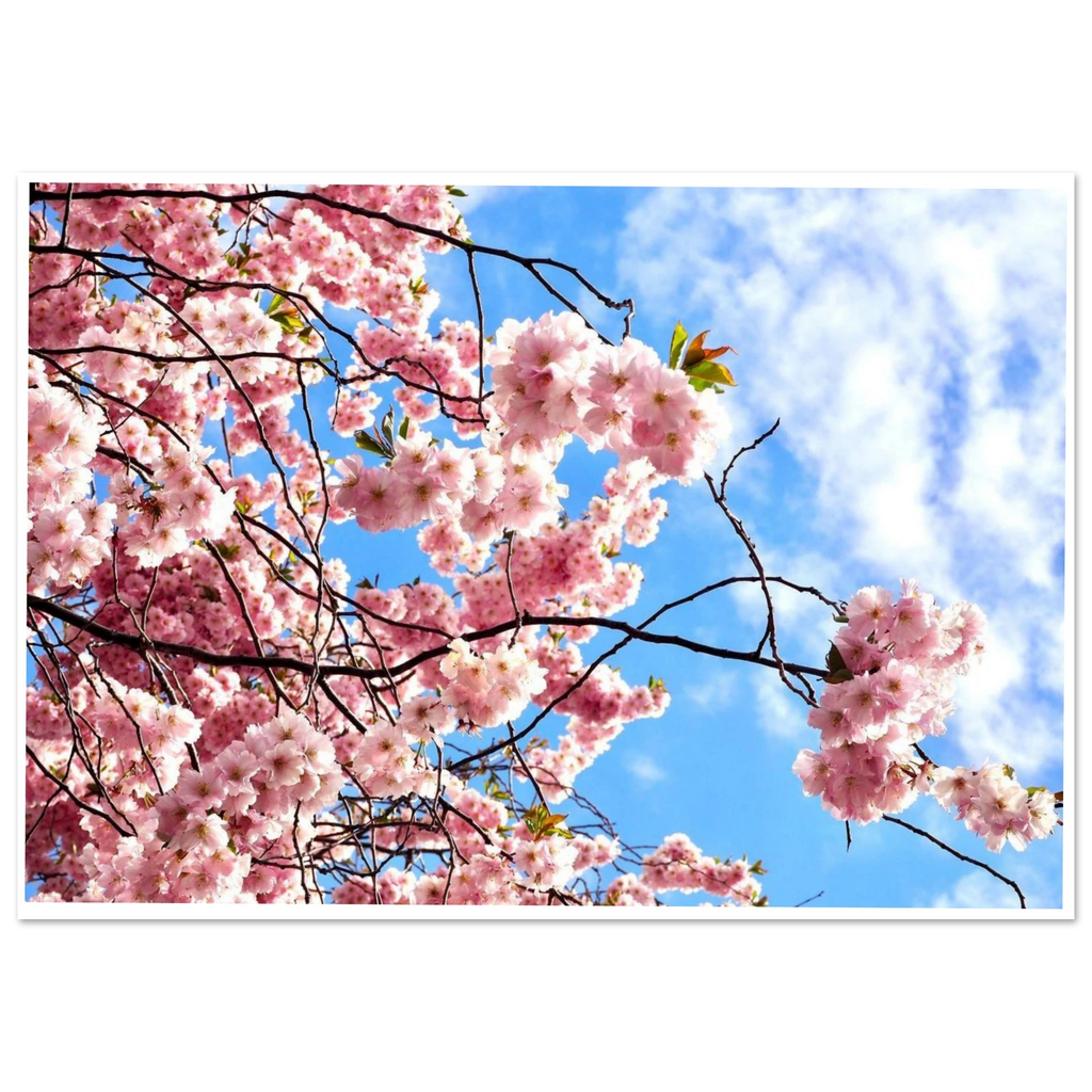 b1826bb2-e05d-45f8-88a1-621b2747f4f2