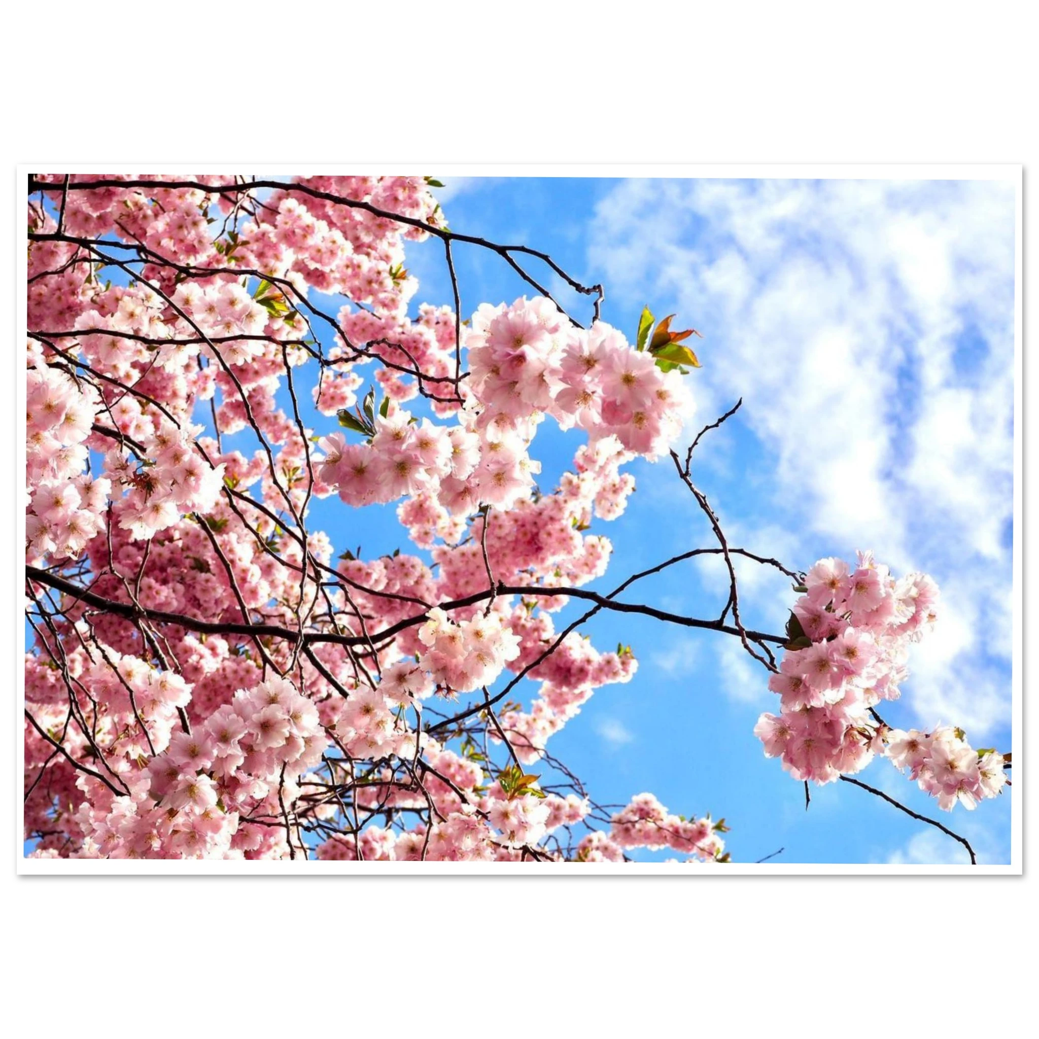 b1826bb2-e05d-45f8-88a1-621b2747f4f2