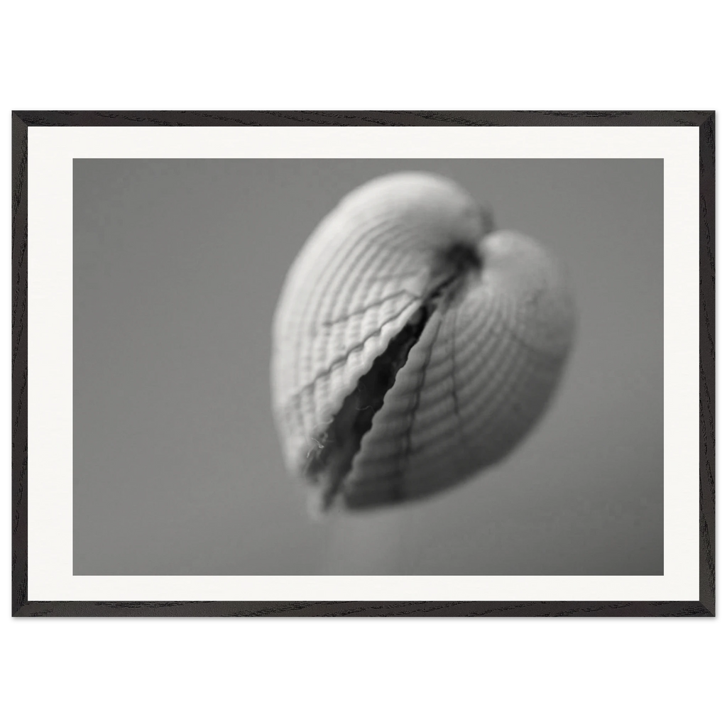 b9f3e788-a2fa-43c3-b71c-ed9d2bc6774c