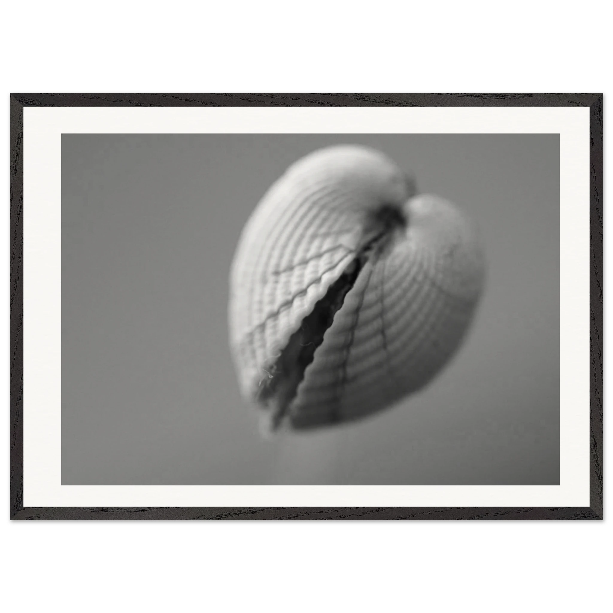 b9f3e788-a2fa-43c3-b71c-ed9d2bc6774c