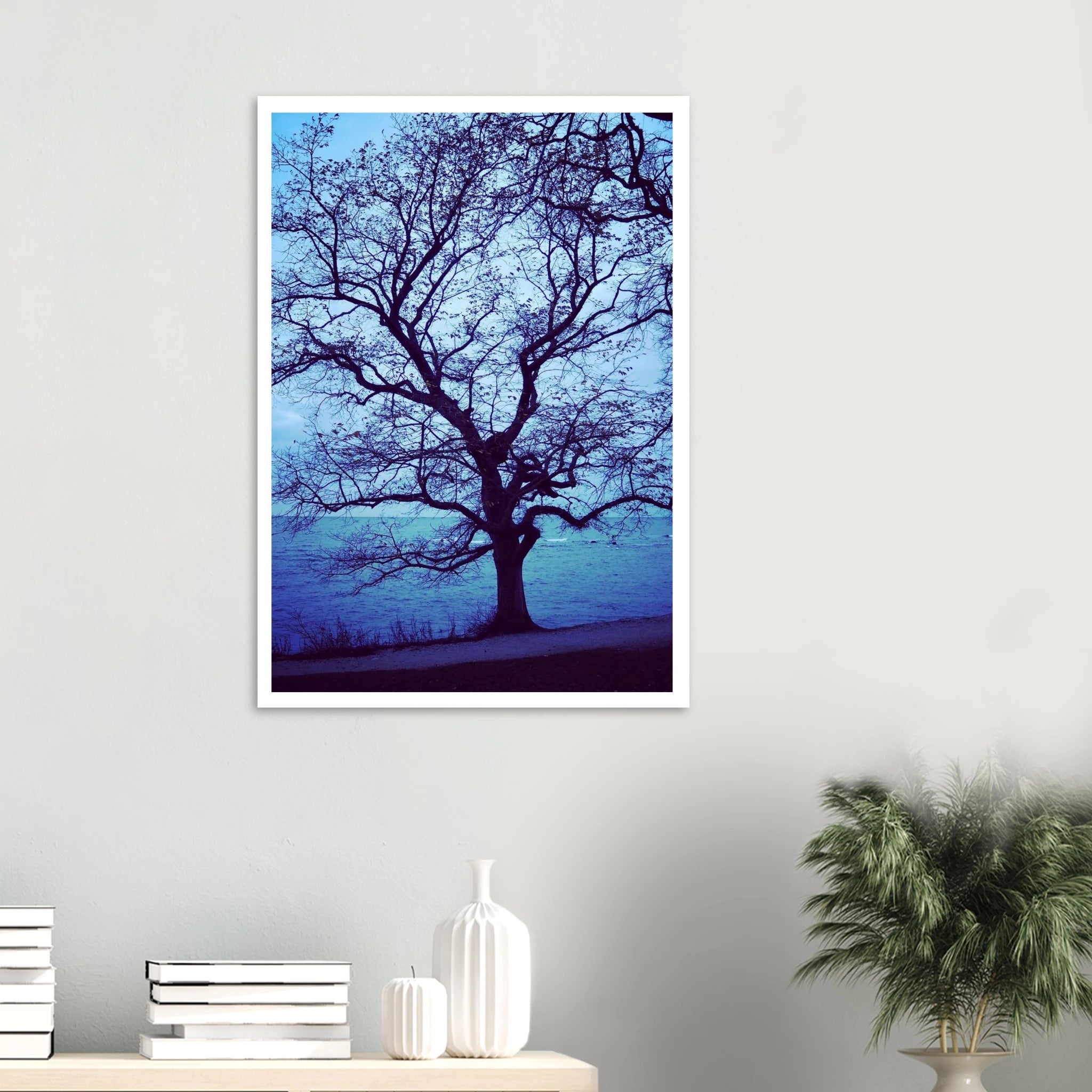 c2e9764d-9de5-4914-b399-b01ef71ad4b2