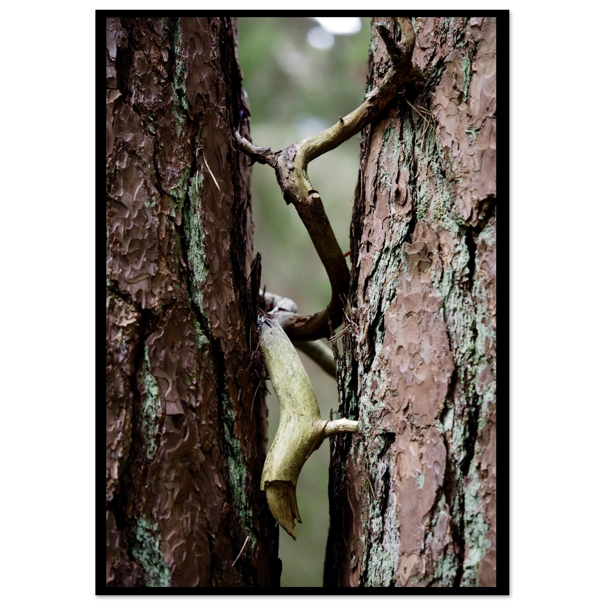 c311296f-9363-4747-918a-a64d05e50121