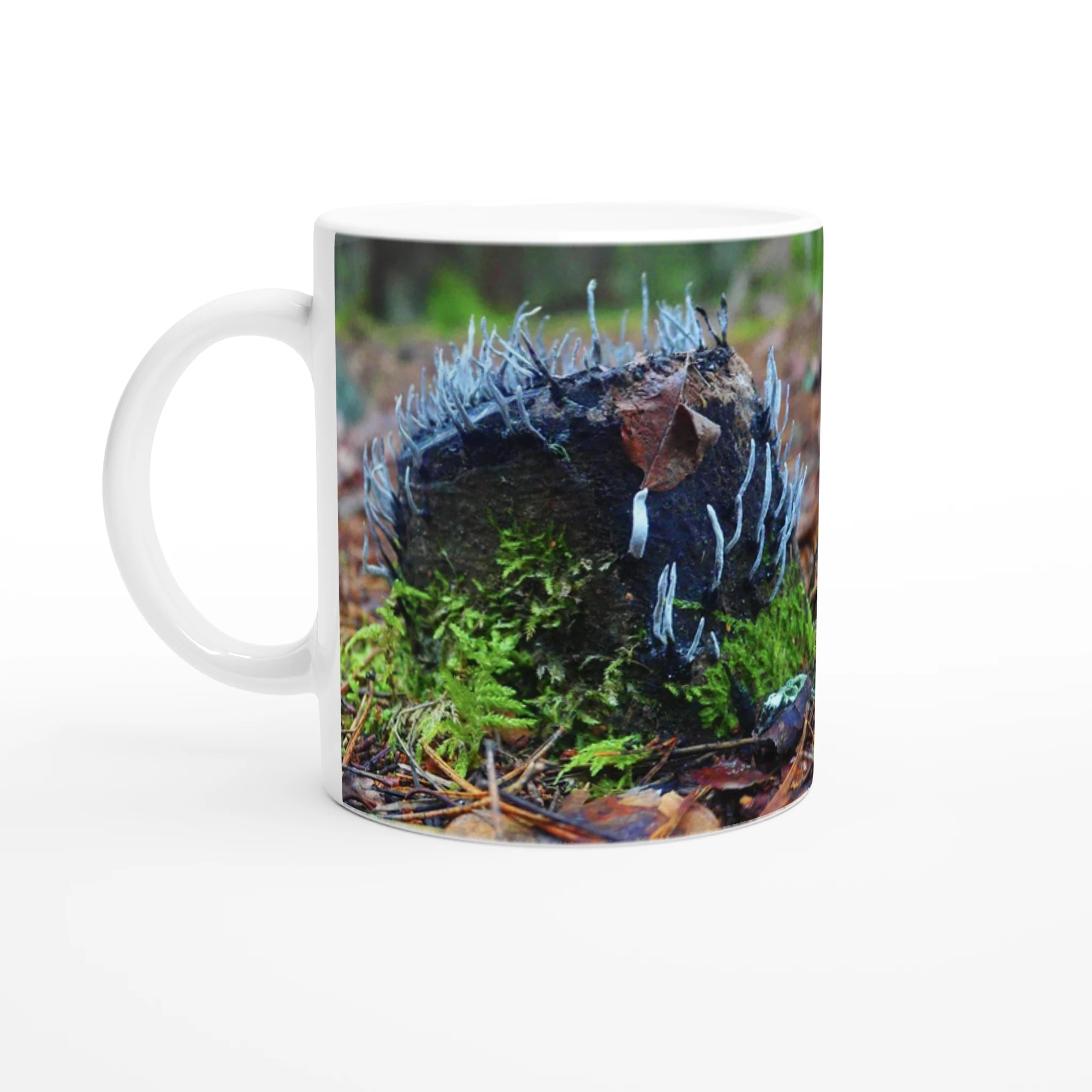 c33a2f14-7b28-482c-a6eb-9d12cac56310