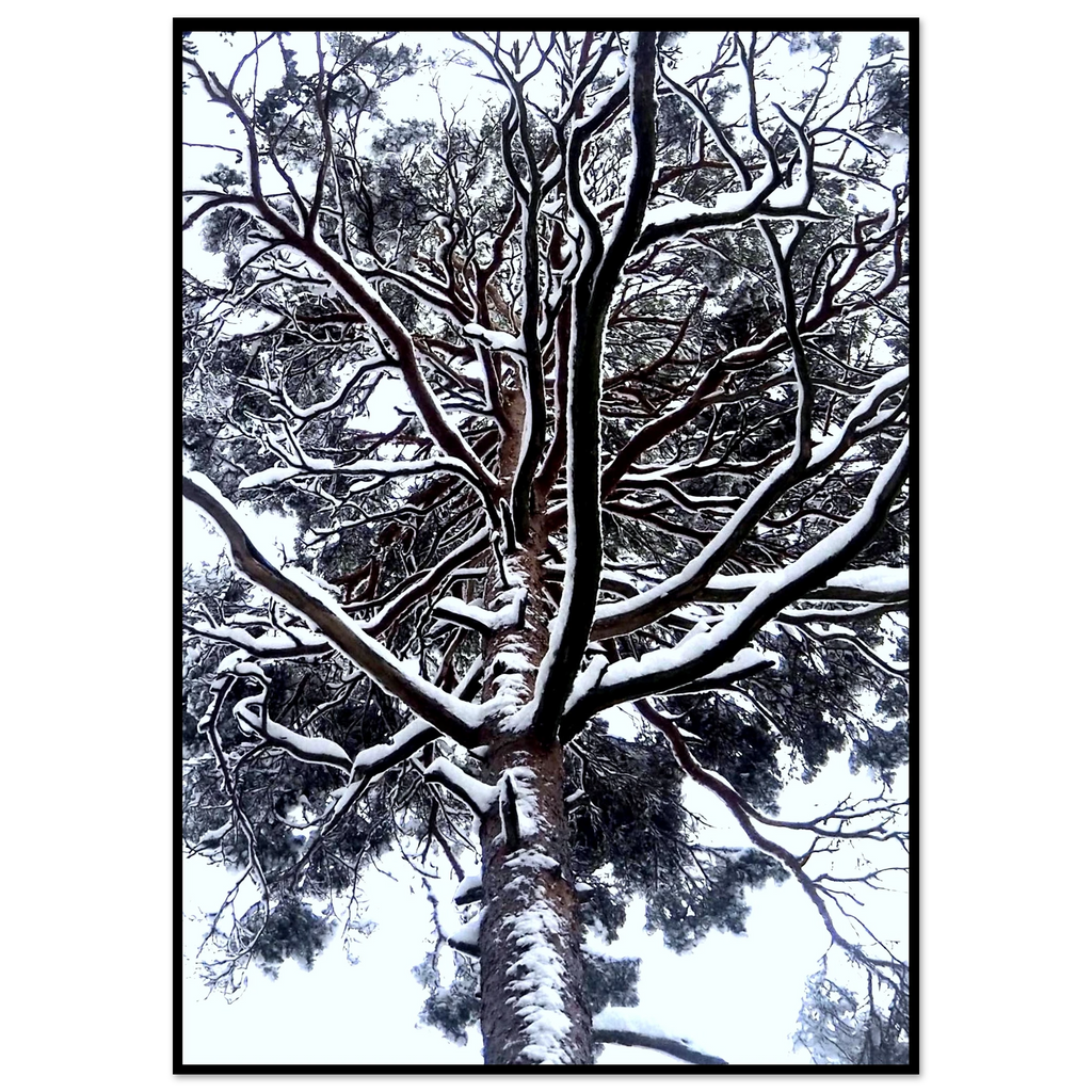 c506fea1-5384-4773-a49d-9547fd2d84d8