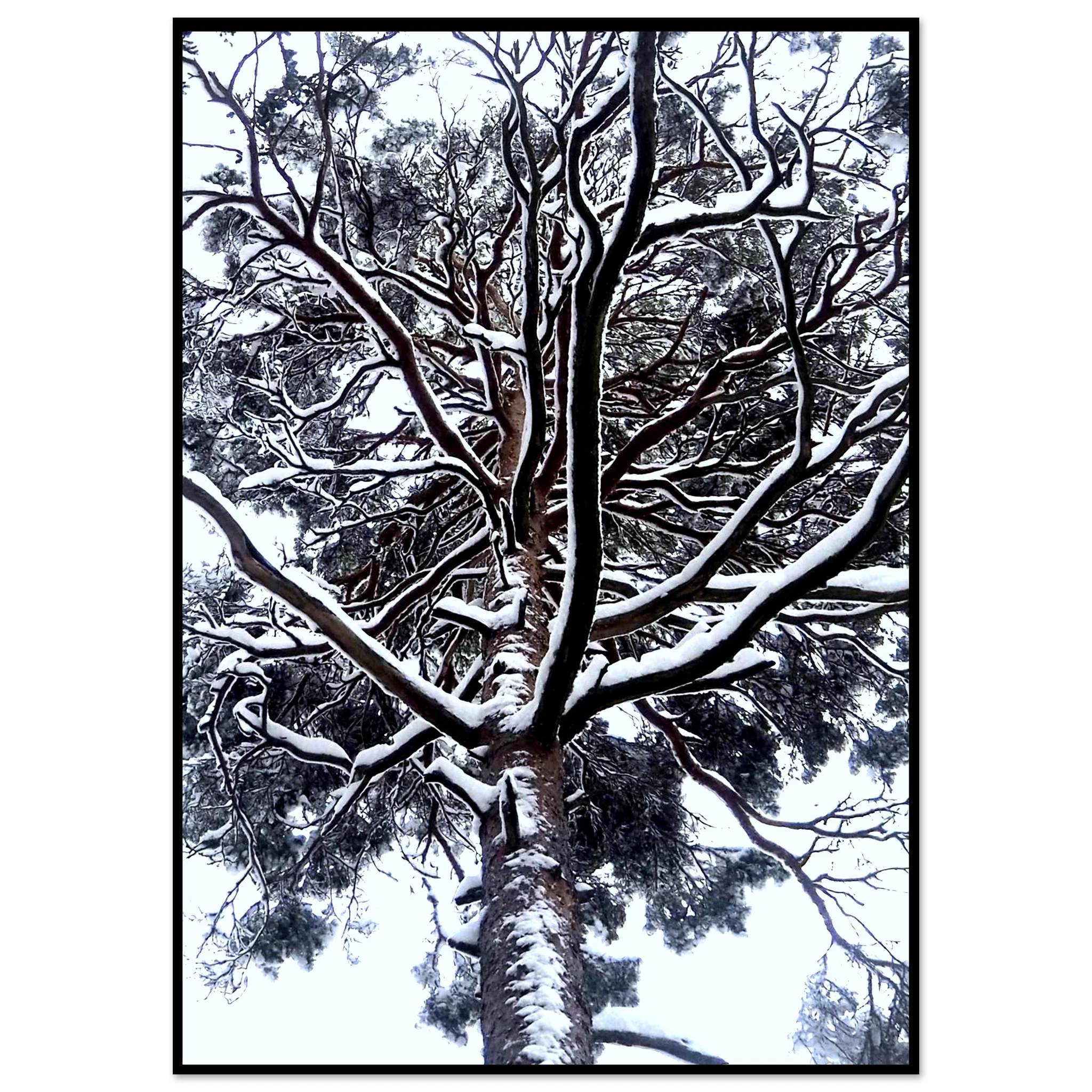 c506fea1-5384-4773-a49d-9547fd2d84d8